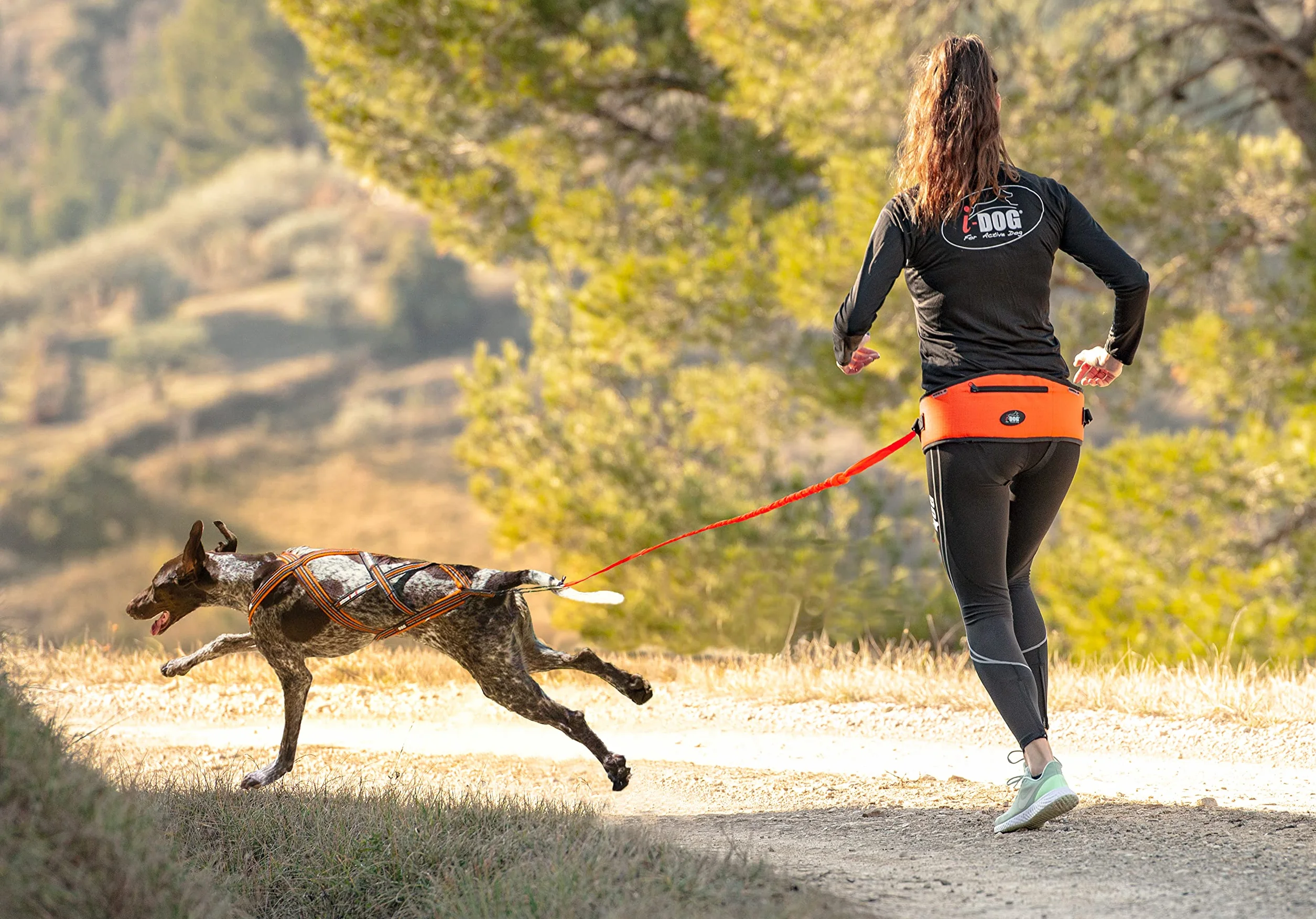 Baudrier Ceinture I-dog Cani Cross Rando Jogging Trail Marche Orange