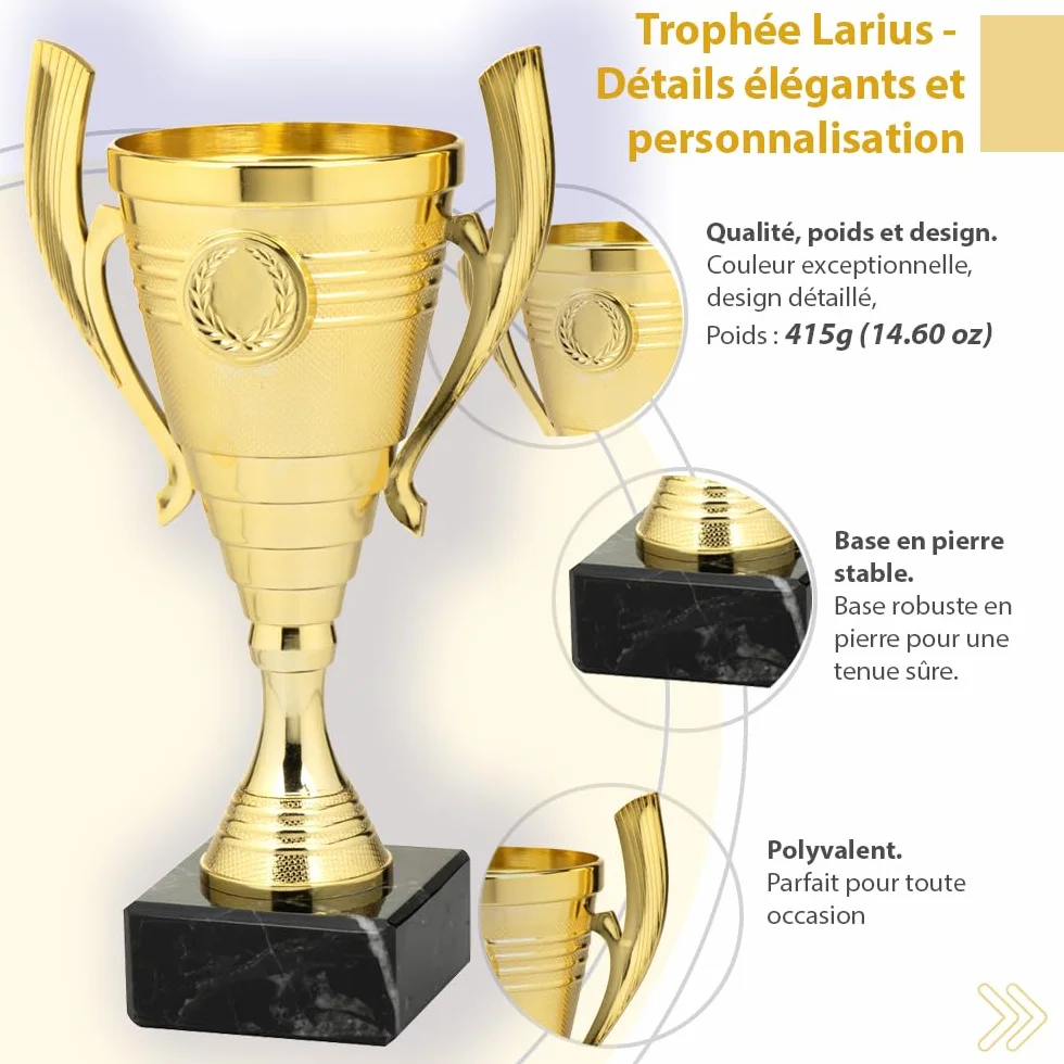 Larius Coupe 22 cm 415 g Trophée élégant universel socle marbre personnalisable sport école compétitions récompenses