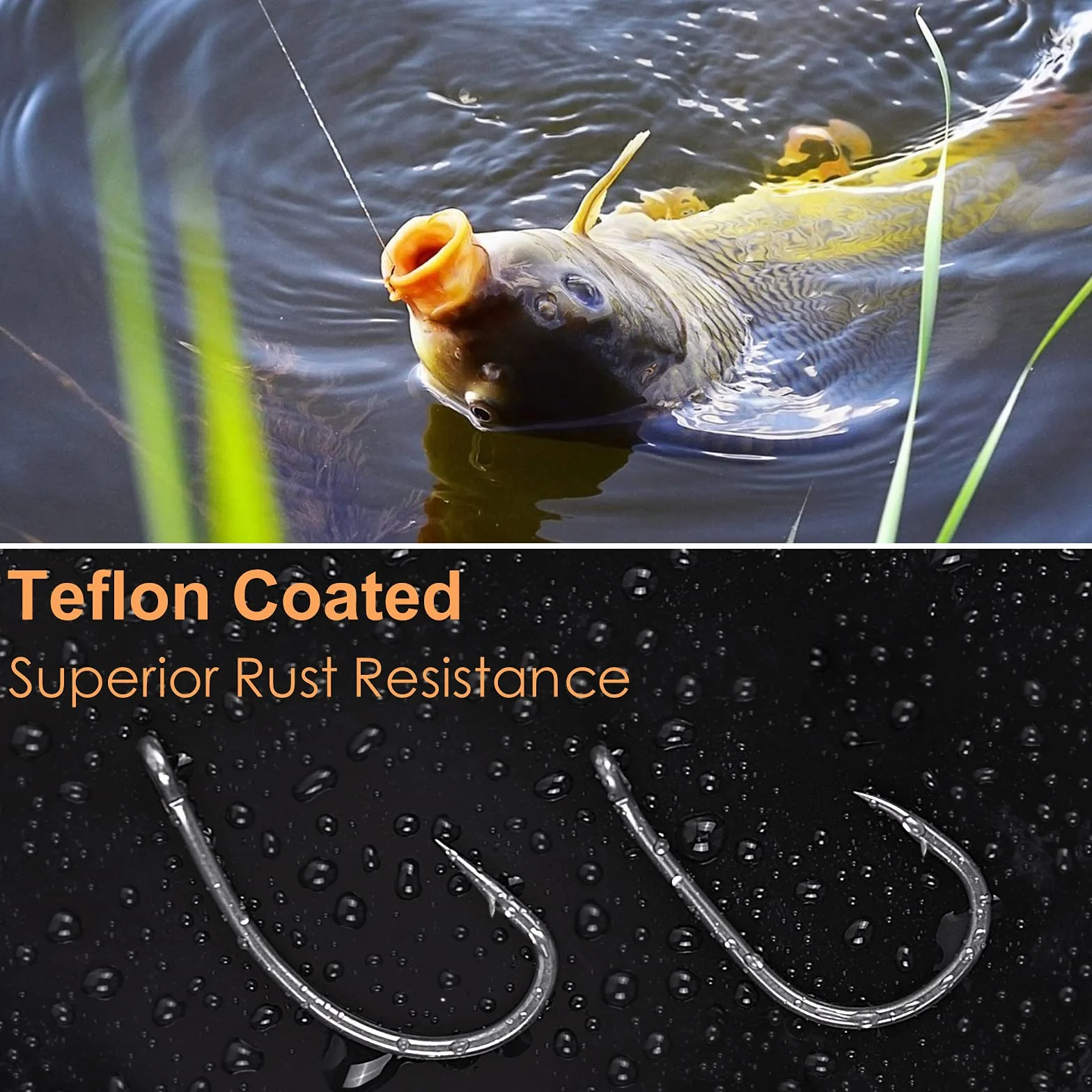 Hameçons Carp avec Ardillon Lot de 50 - Taille 2, 4, 6, 8, 10 - Tige Incurvée Revêtue de Téflon Hameçon Large