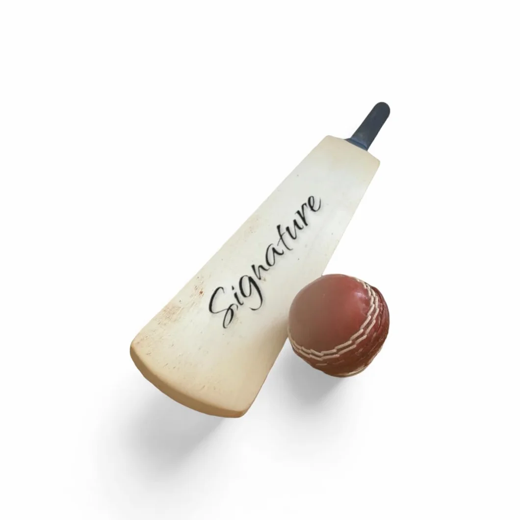 Mini batte de cricket vierge 40 cm pour signatures joueurs collection amateurs bois de saule