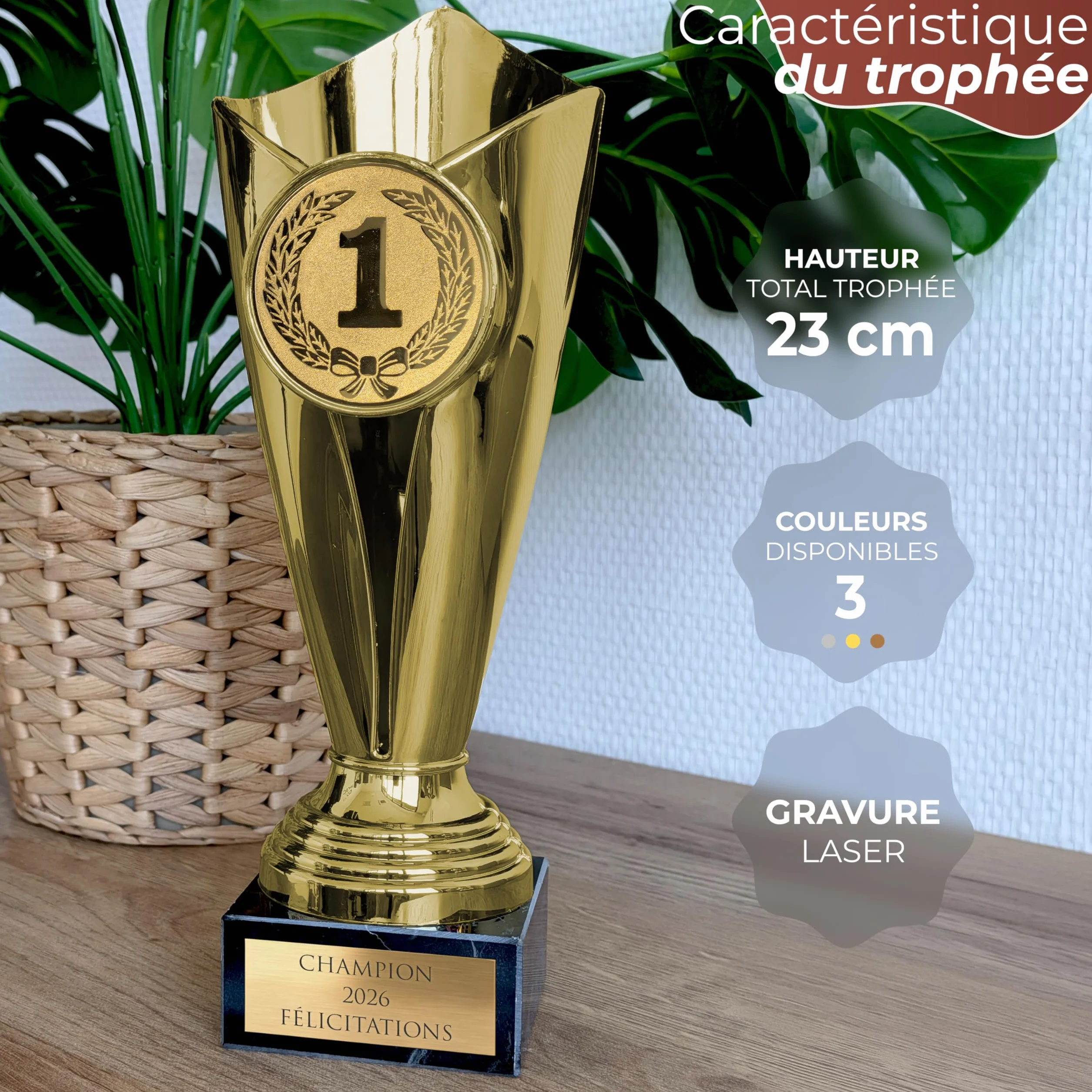 Trophée Personnalisable Coupe avec Gravure Or/Bronze/Argent Cadeau Fête des Pères Noël