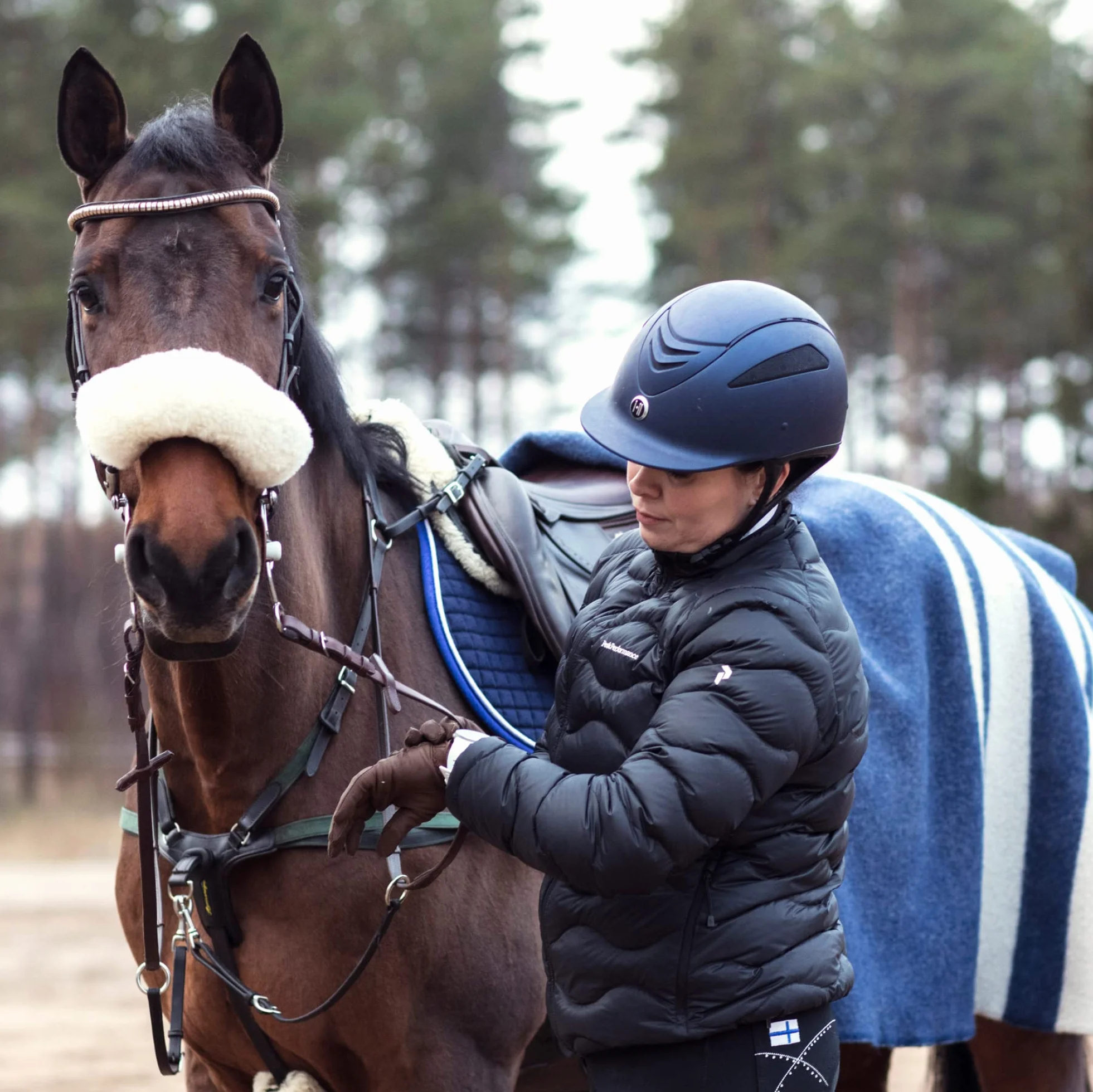 Polar Cardiofréquencemètre pour Cheval, Noir, Taille Unique EU