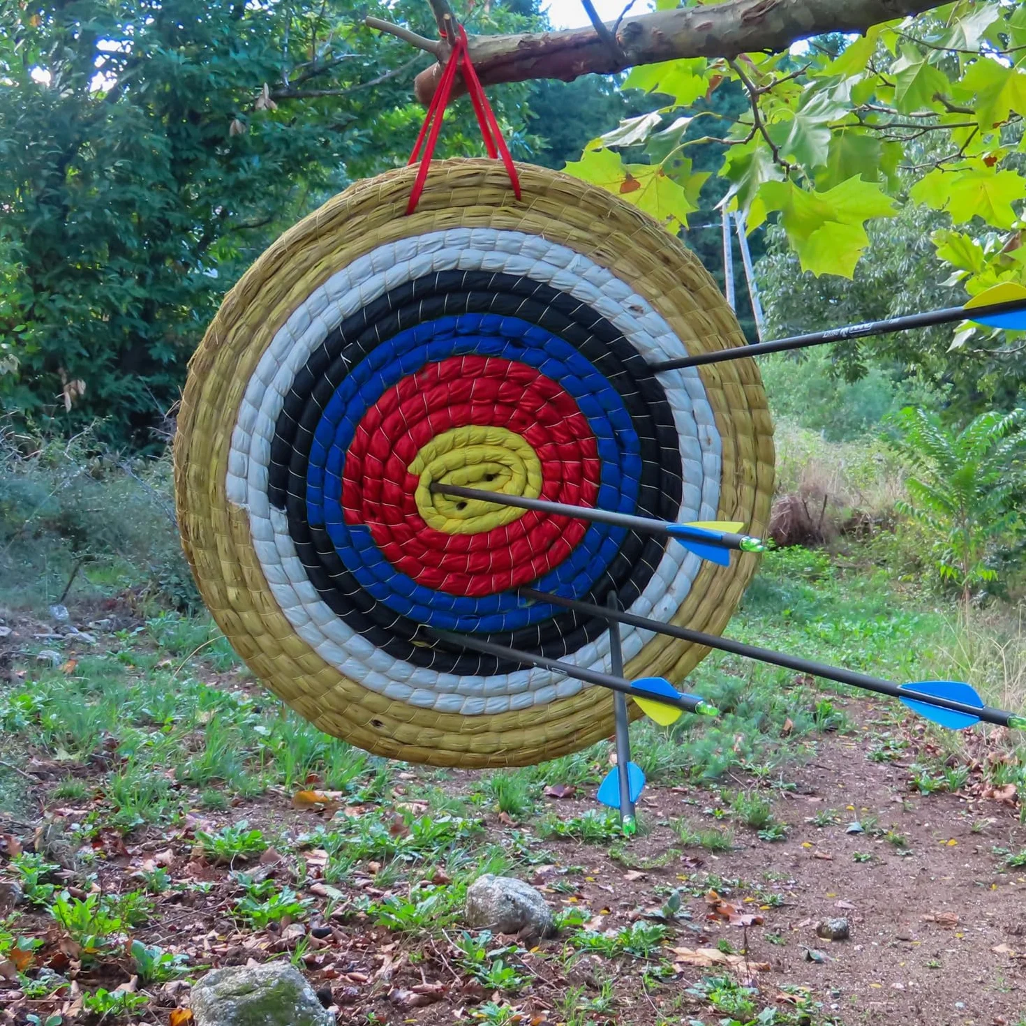 Cible de tir à l'arc en paille traditionnelle pour flèche et arc