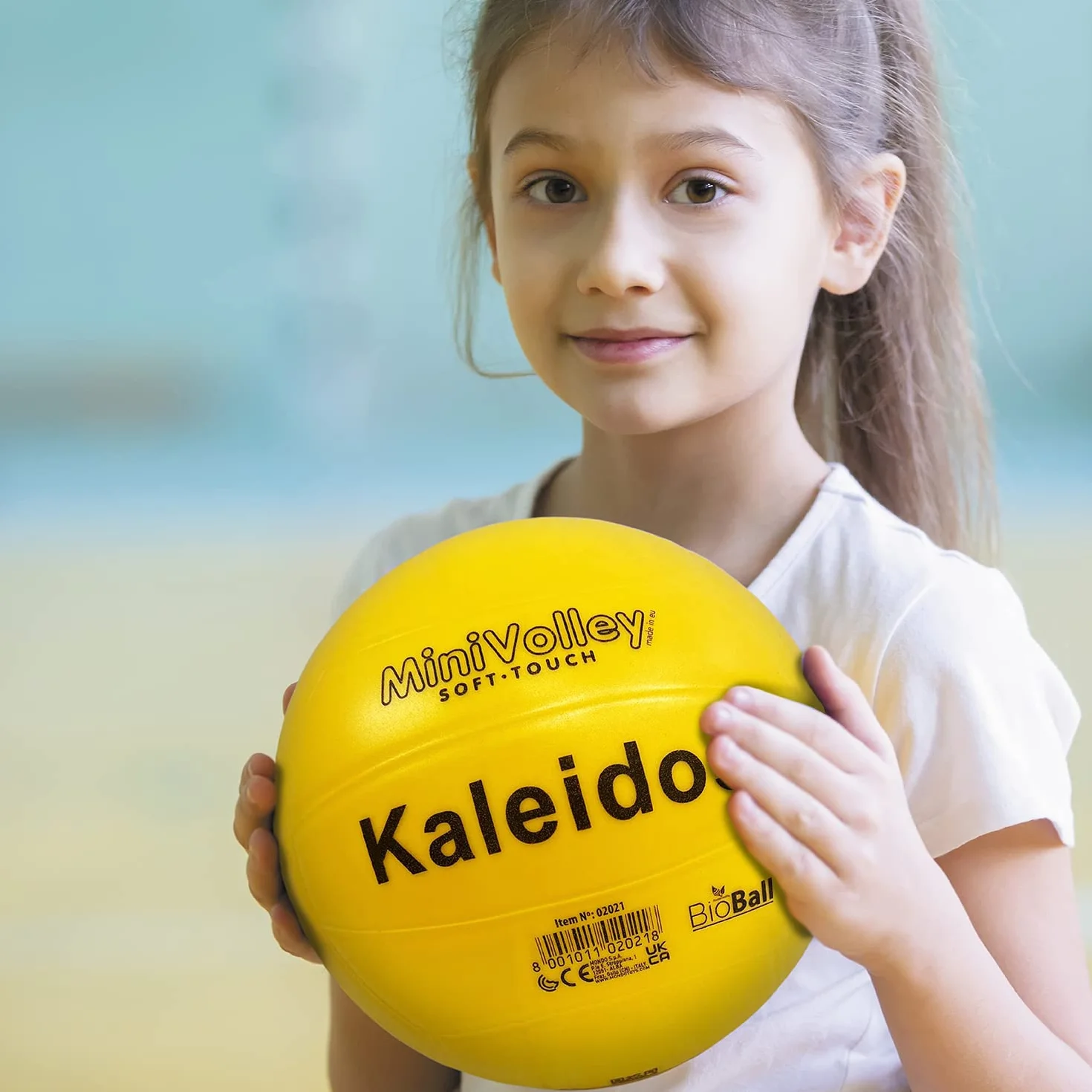 Monde Sports Volley Game Ball