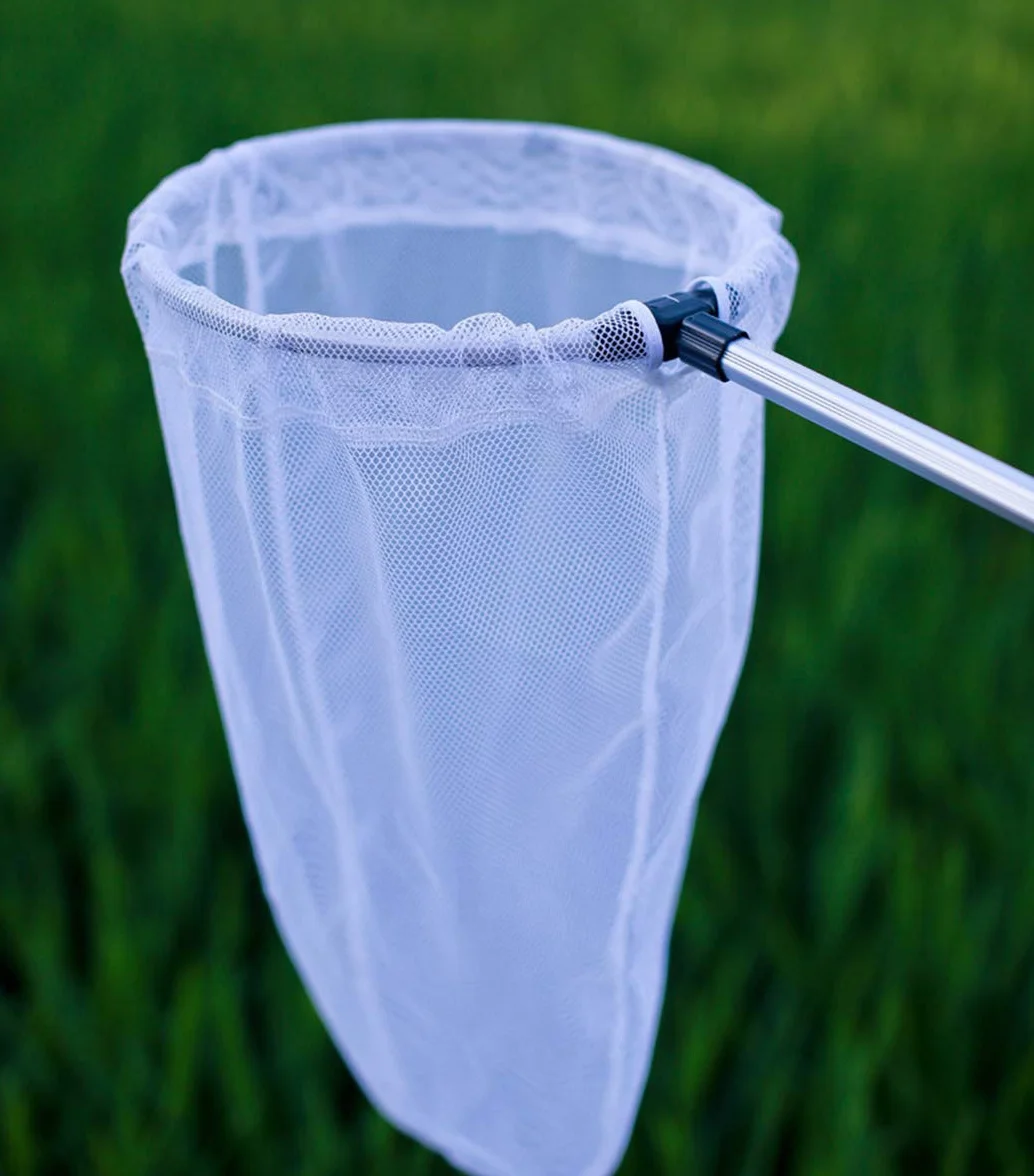 Filet télescopique pour insectes et papillons, capture d'insectes, anneau 28 cm, manche extensible 93 cm