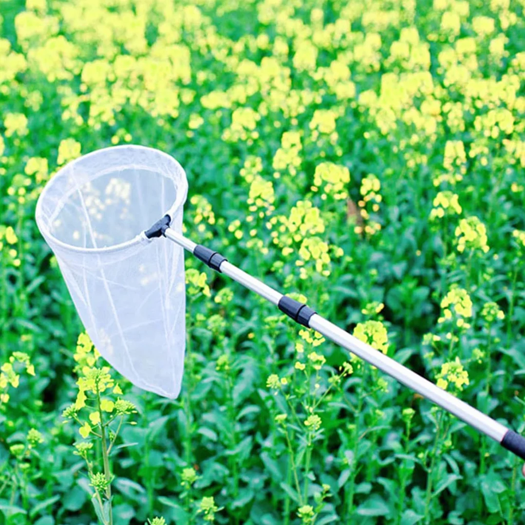 Filet télescopique pour insectes et papillons, capture d'insectes, anneau 28 cm, manche extensible 93 cm