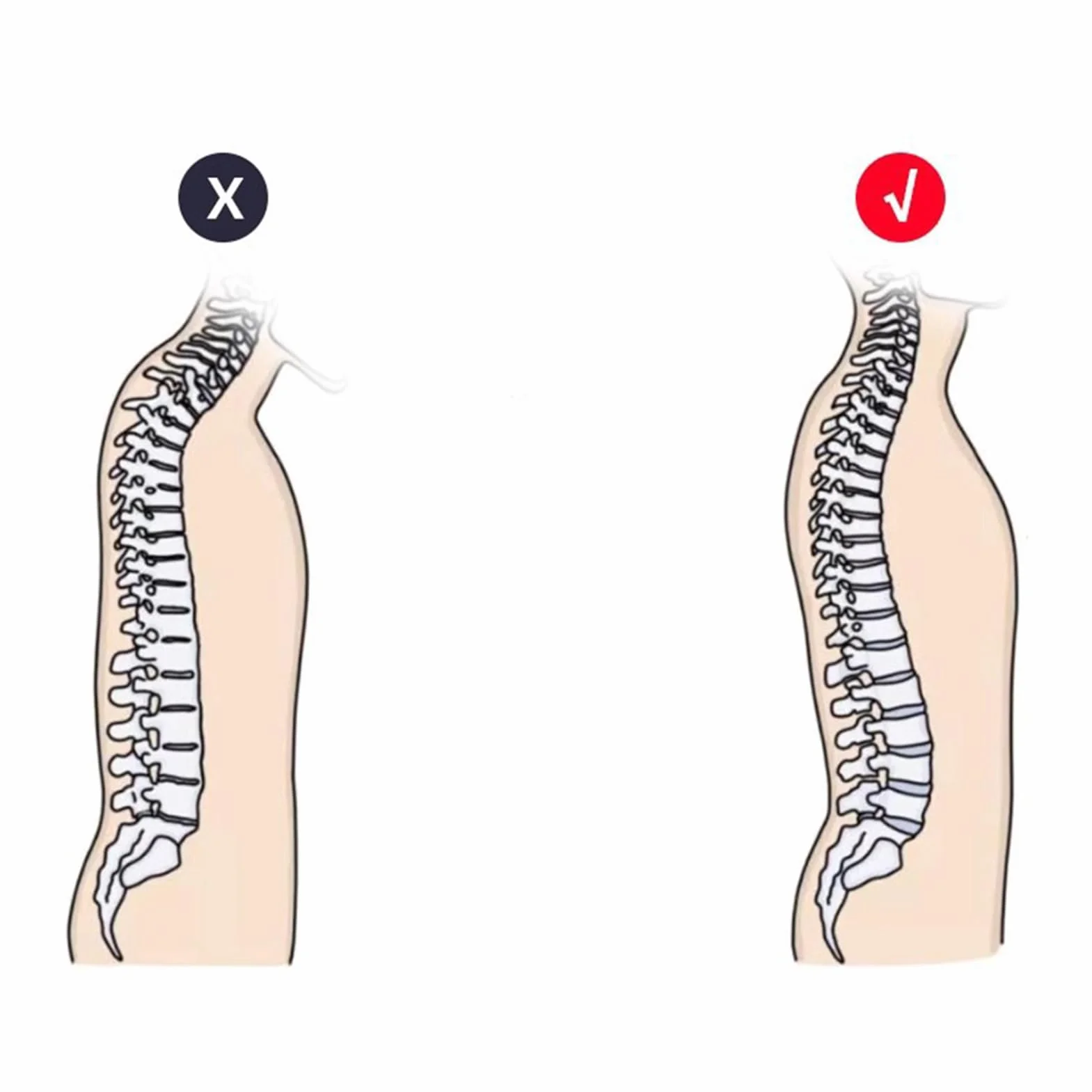 Masseur Lombaire Réglable 4 Niveaux avec Points Magnétiques - Appareil de Massage Dos & Cou