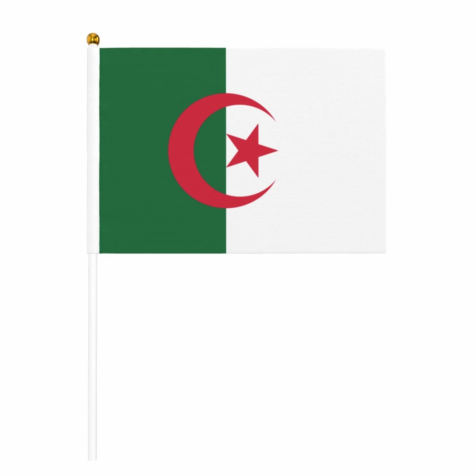 Lot de 10 mini drapeaux de l'Algérie à main sur bâton pour fête et défilés