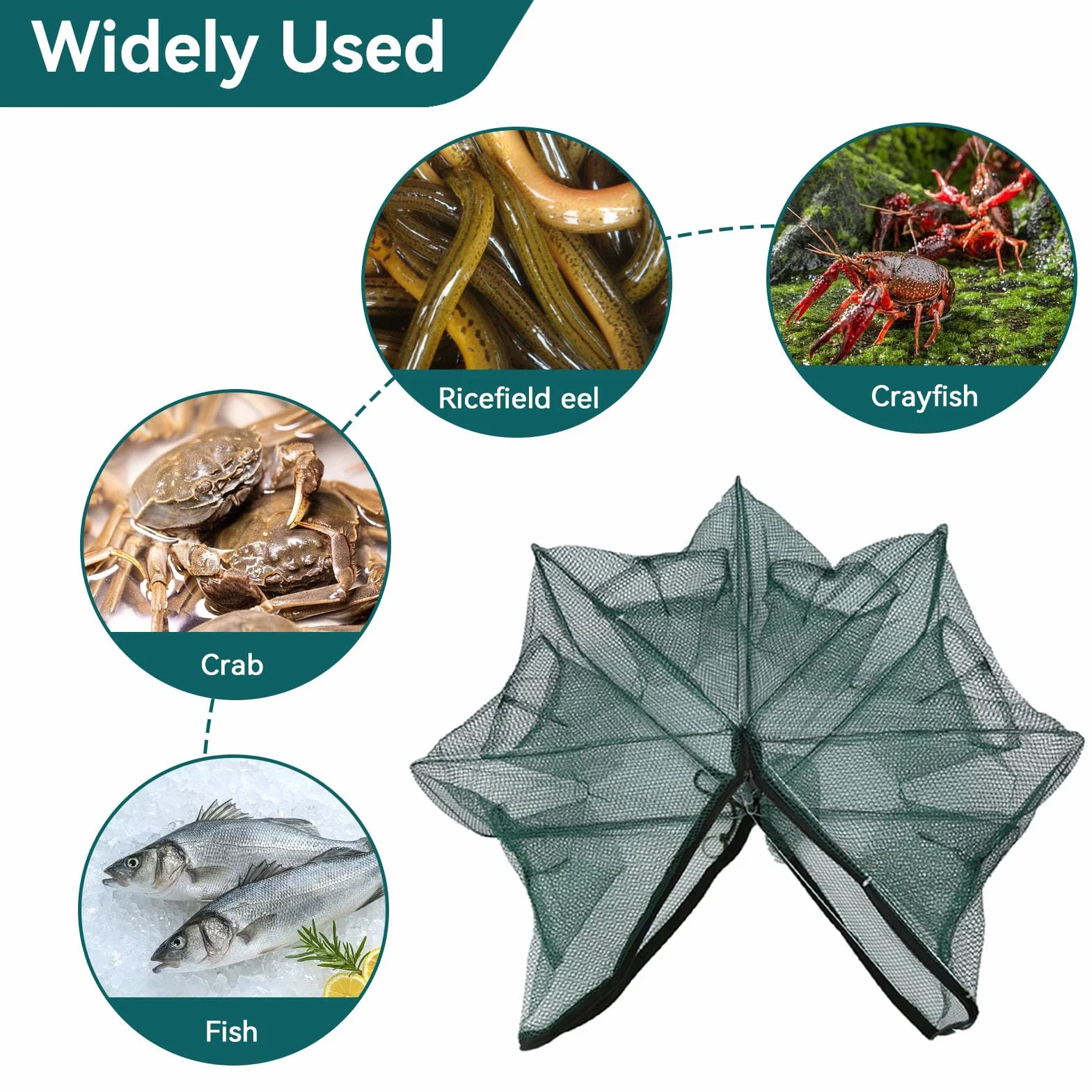 Cyrank Piège à ménés 6/12 Trous Filet de pêche Pliable avec épuisette pour Poissons-appâts