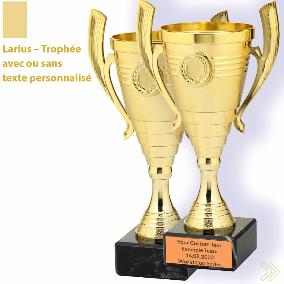 Larius Coupe 22 cm 415 g Trophée élégant universel socle marbre personnalisable sport école compétitions récompenses