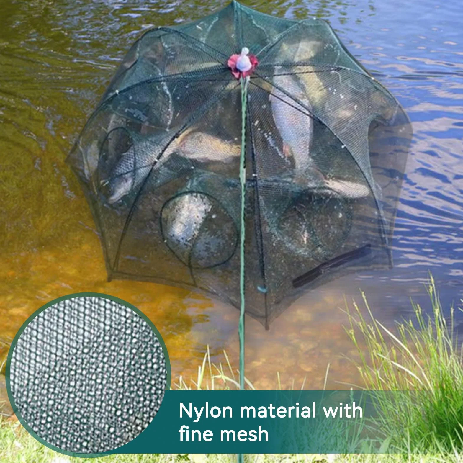 Cyrank Piège à ménés 6/12 Trous Filet de pêche Pliable avec épuisette pour Poissons-appâts