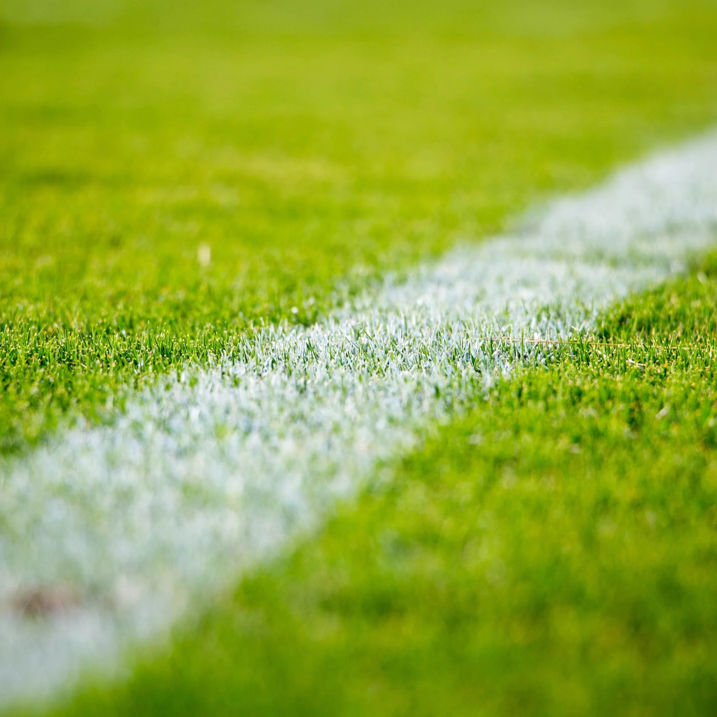 Peinture de Traçage Concentrée 2L pour Terrain de Football Rugby