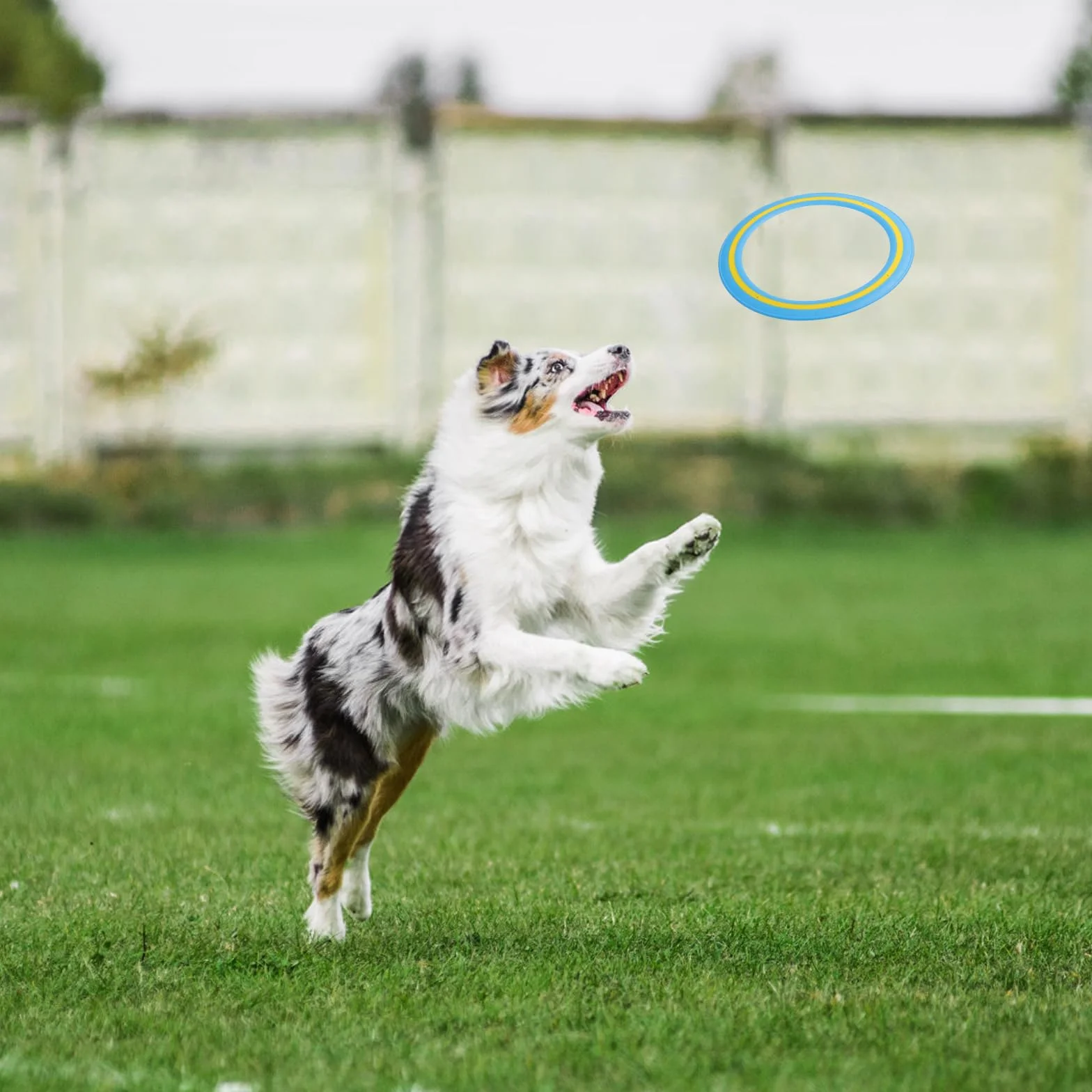 Lot de 3 anneaux frisbee 24 cm jouet d'extérieur pour enfants et adultes