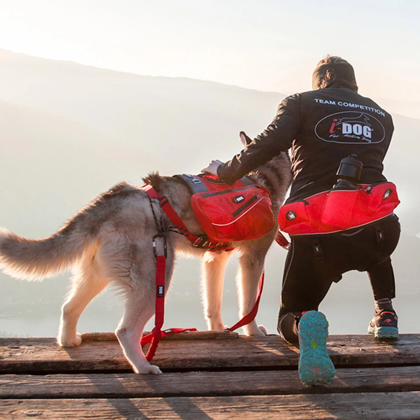 Baudrier Canicross Confort Trek I-DOG Taille Unique Rouge
