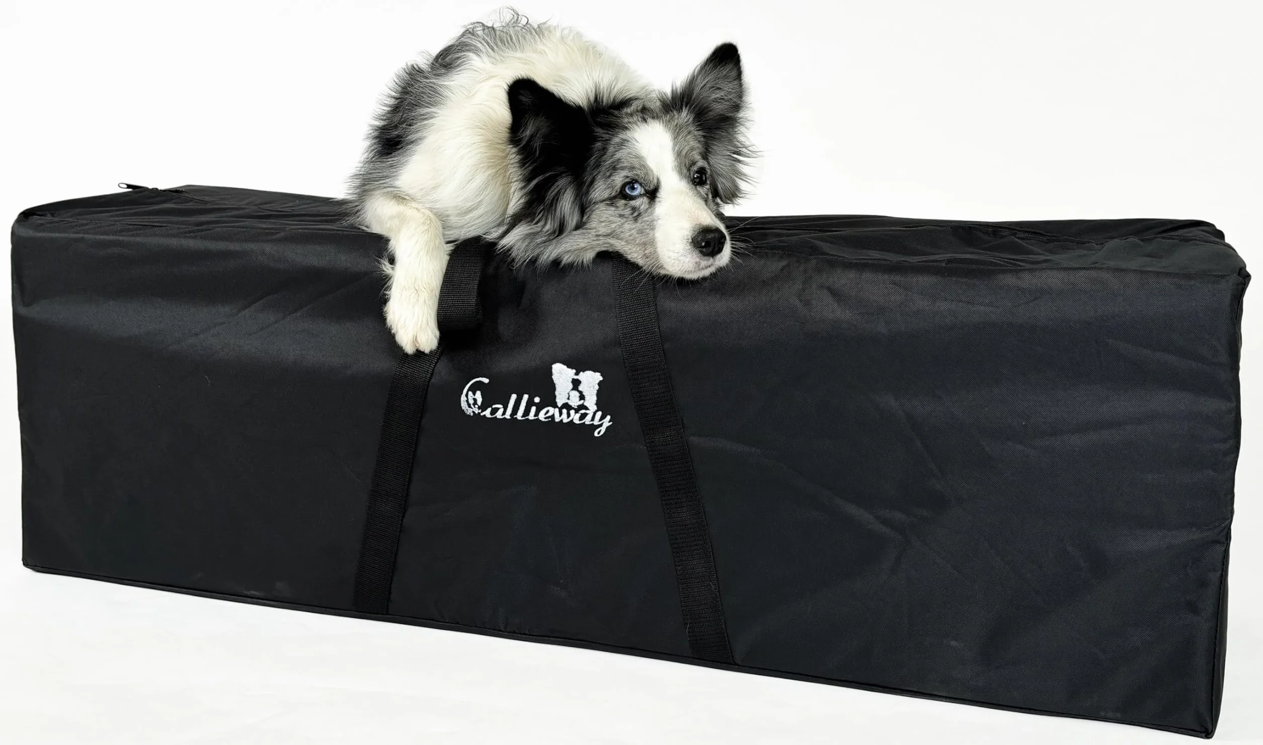 Callieway Agility Saut en Longueur Soft – Noyau en Mousse, 4 Jalons, Sac de Transport, CNEAC+FCI (Bleu-Jaune)