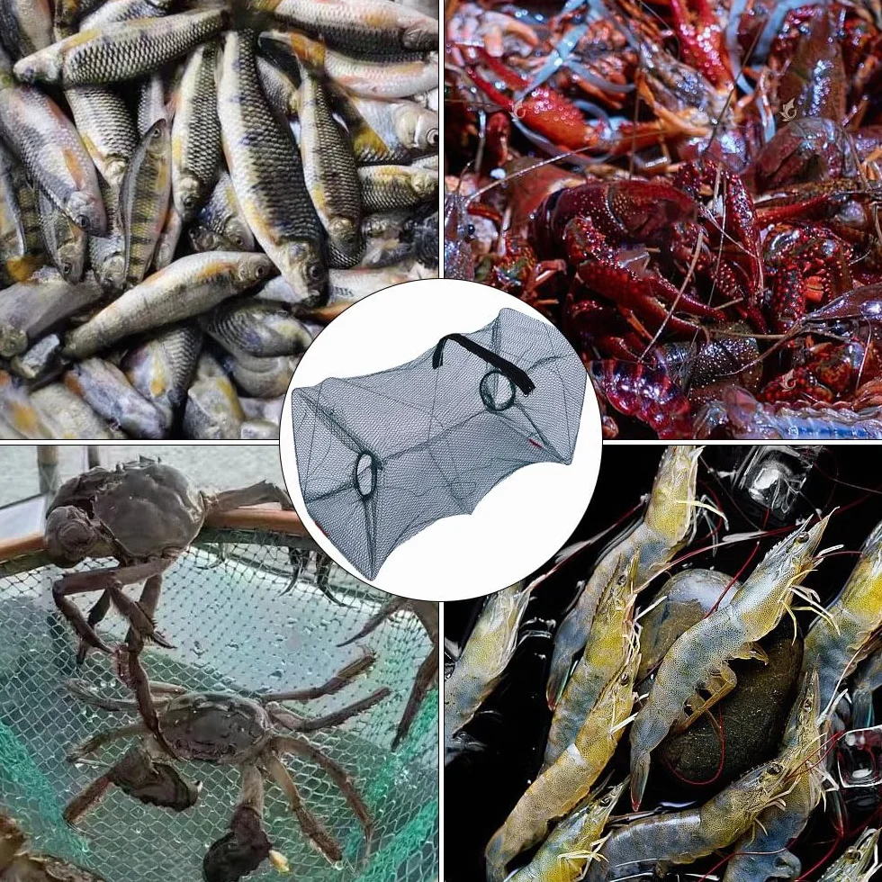Nasse à Poisson 50x20cm Filet Pêche Pliable Piège à Crevettes Écrevisses Homards