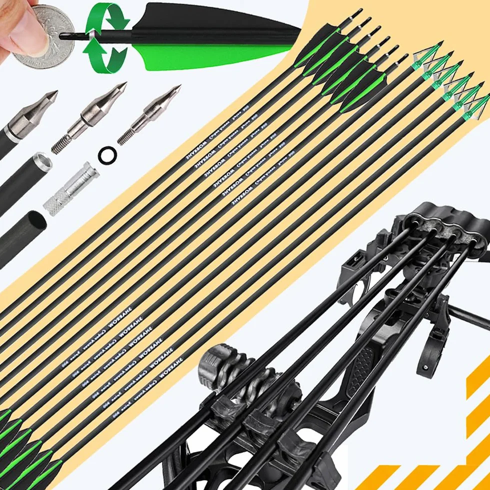 Arc à Poulies Adulte Compound 10-45 lbs 325fps Set Chasse Débutants Professionnel