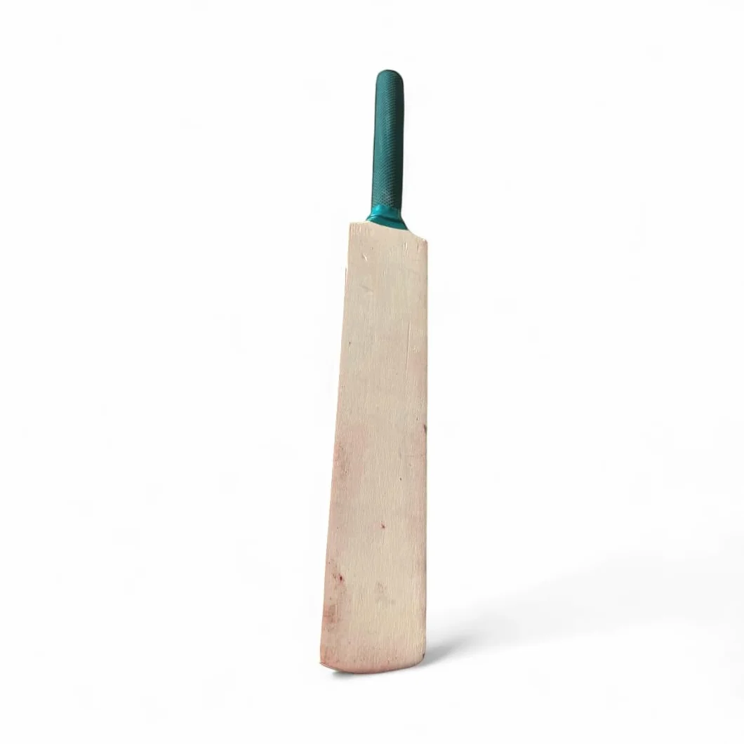 Mini batte de cricket vierge 40 cm pour signatures joueurs collection amateurs bois de saule