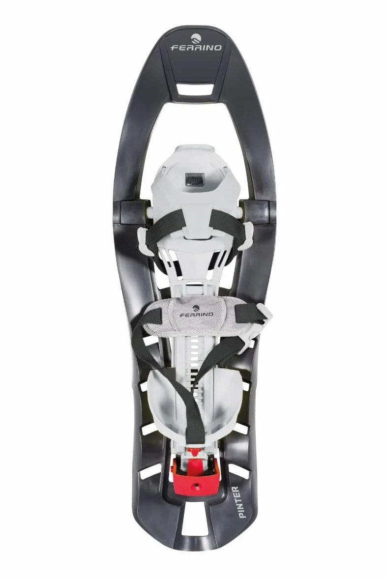 Ferrino Snowshoes PINTER Castor Chaussures de ski Unisexe Adultes Taille unique EU Multicolore