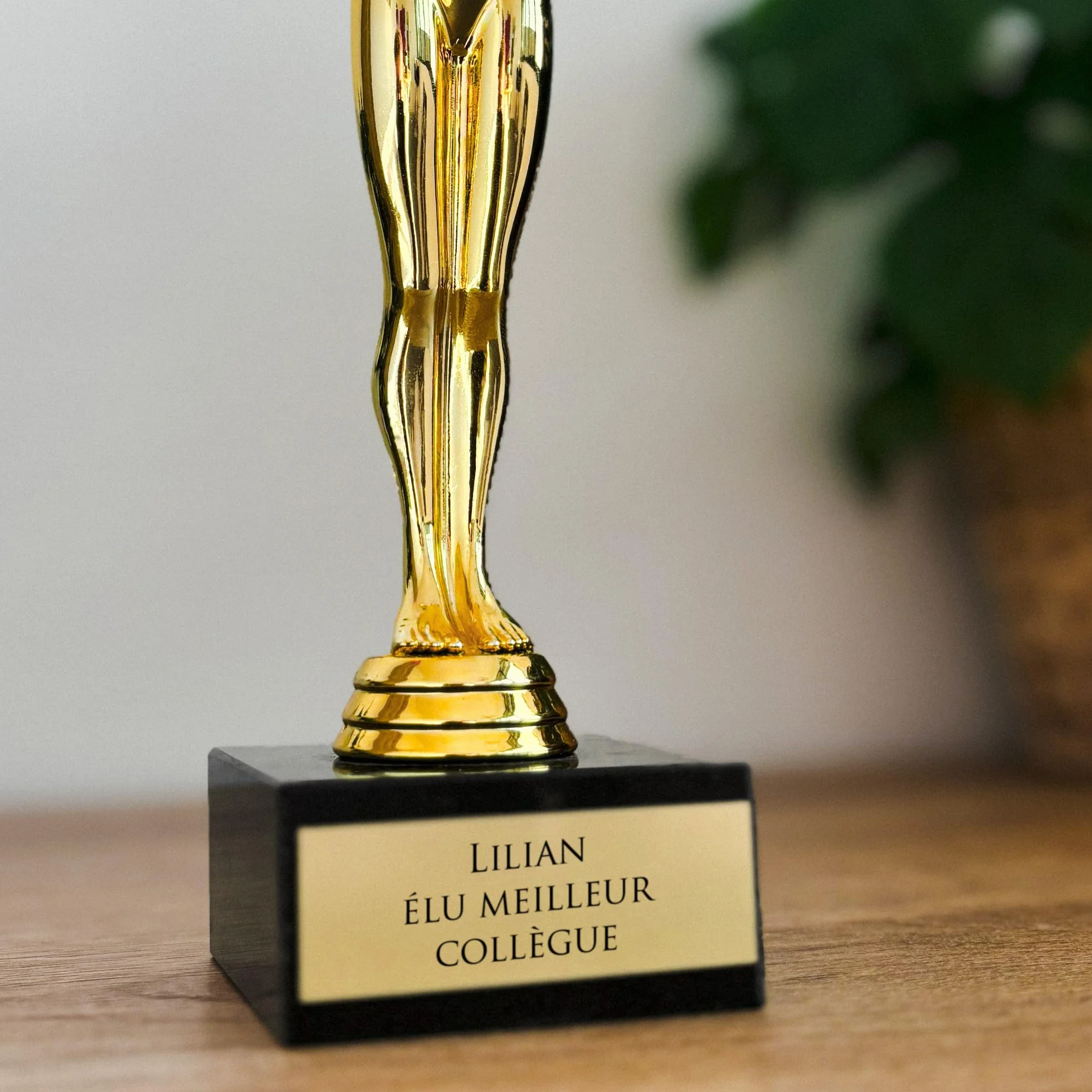 Trophée Personnalisable Statuette Dorée Gravé Texte Cadeau Fête des Pères Noël Retraite Homme