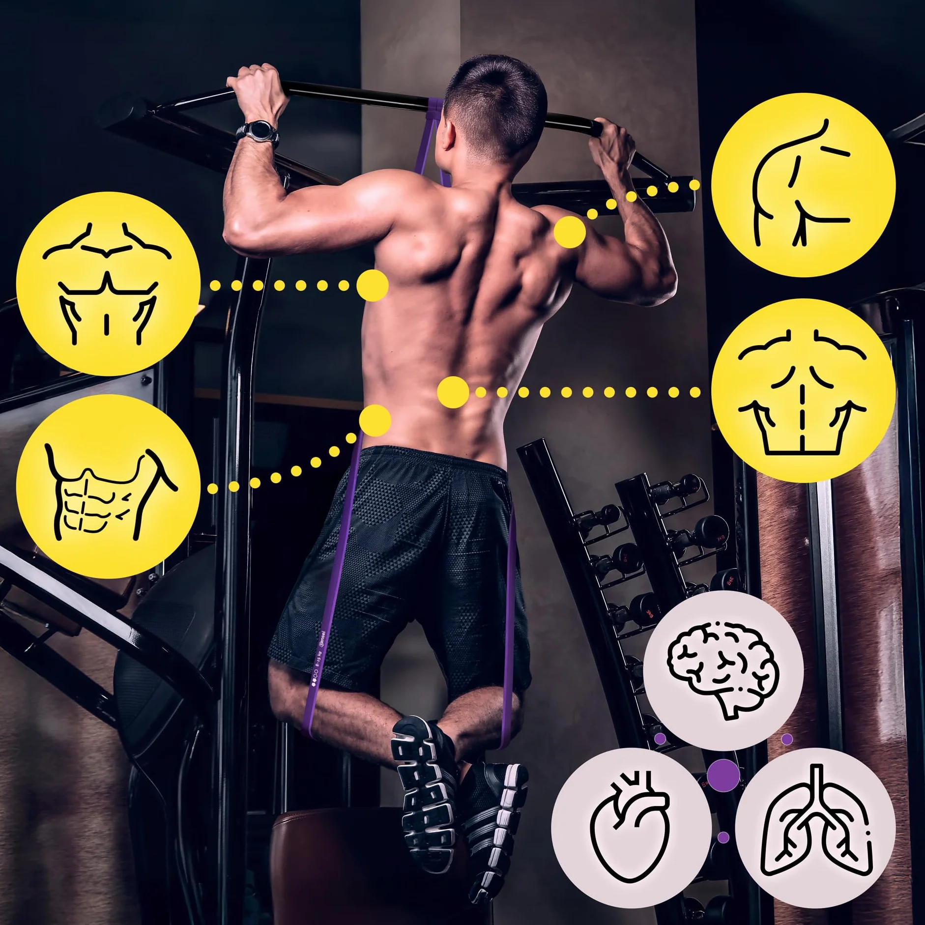 SENSEI Bande Élastique Musculation Traction – Élastique Résistance Latex Naturel avec E-Book