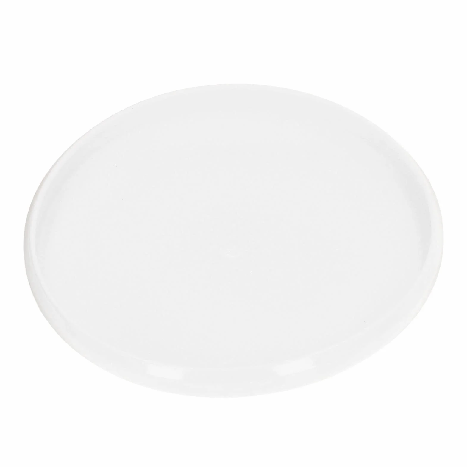 Disque de sport Ultimate 27 cm Blanc Professionnel Gazon