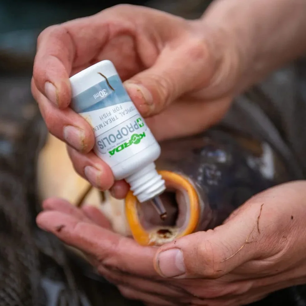 Korda Kit 2 antiseptiques 50 ML