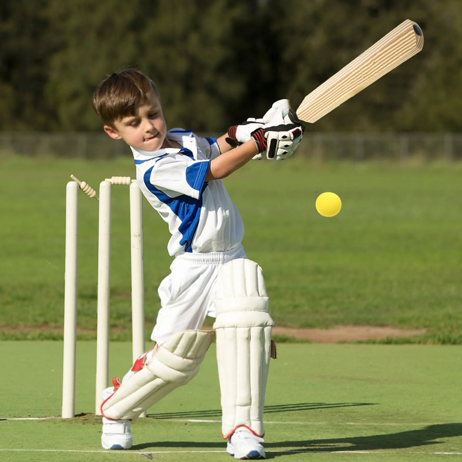 Mipcase Batte De Cricket Interactif Rembourrée en Mousse Balles D'intérieur Jouet pour Maison Plage Jardin