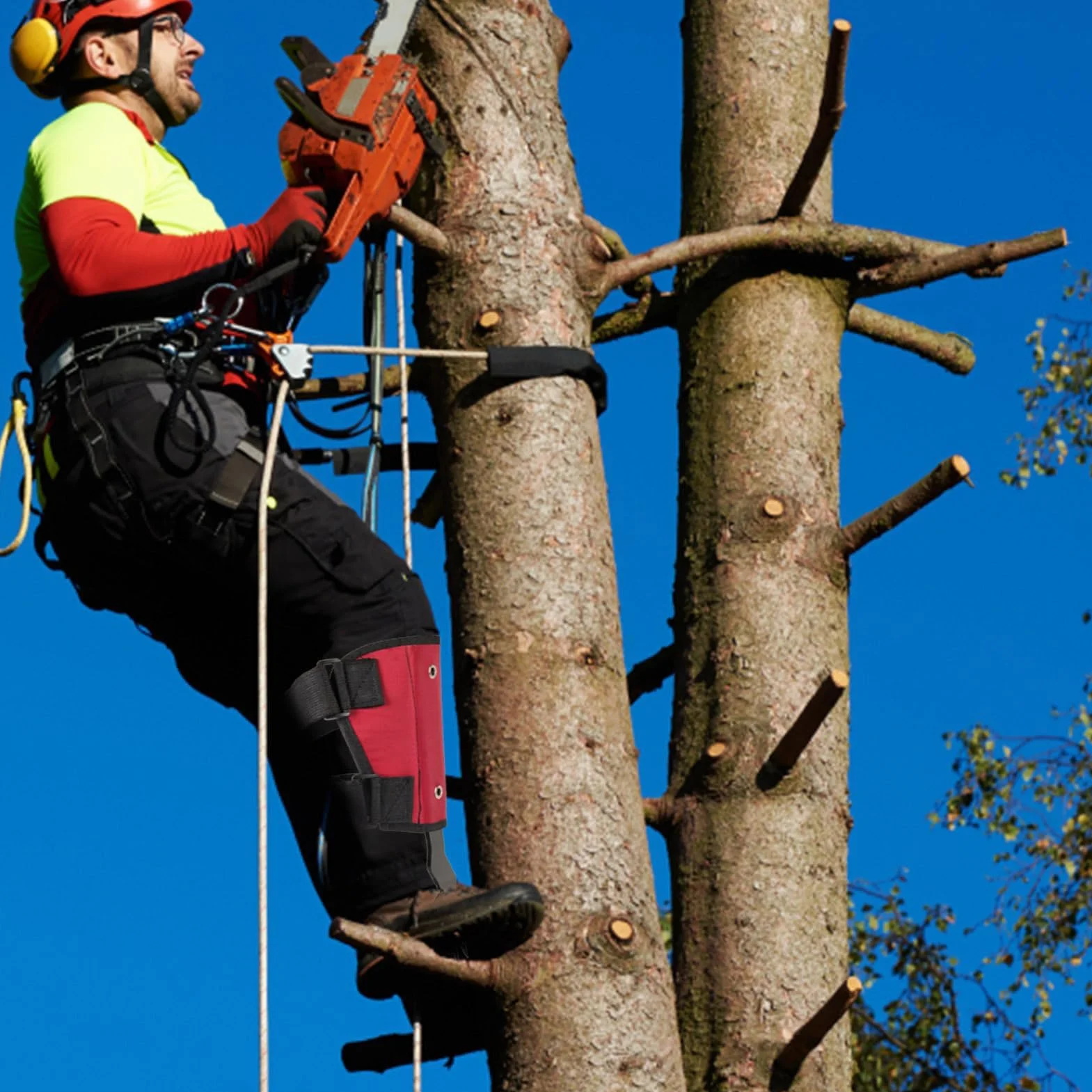 GAOXIAO Griffe Elagage Arbre Professionnel, Crampons Arboriste Outil Grimpe Acier Robuste Sangles Réglables