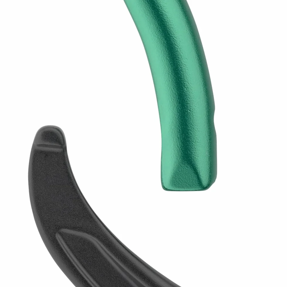 Salewa Ortles Carabiner