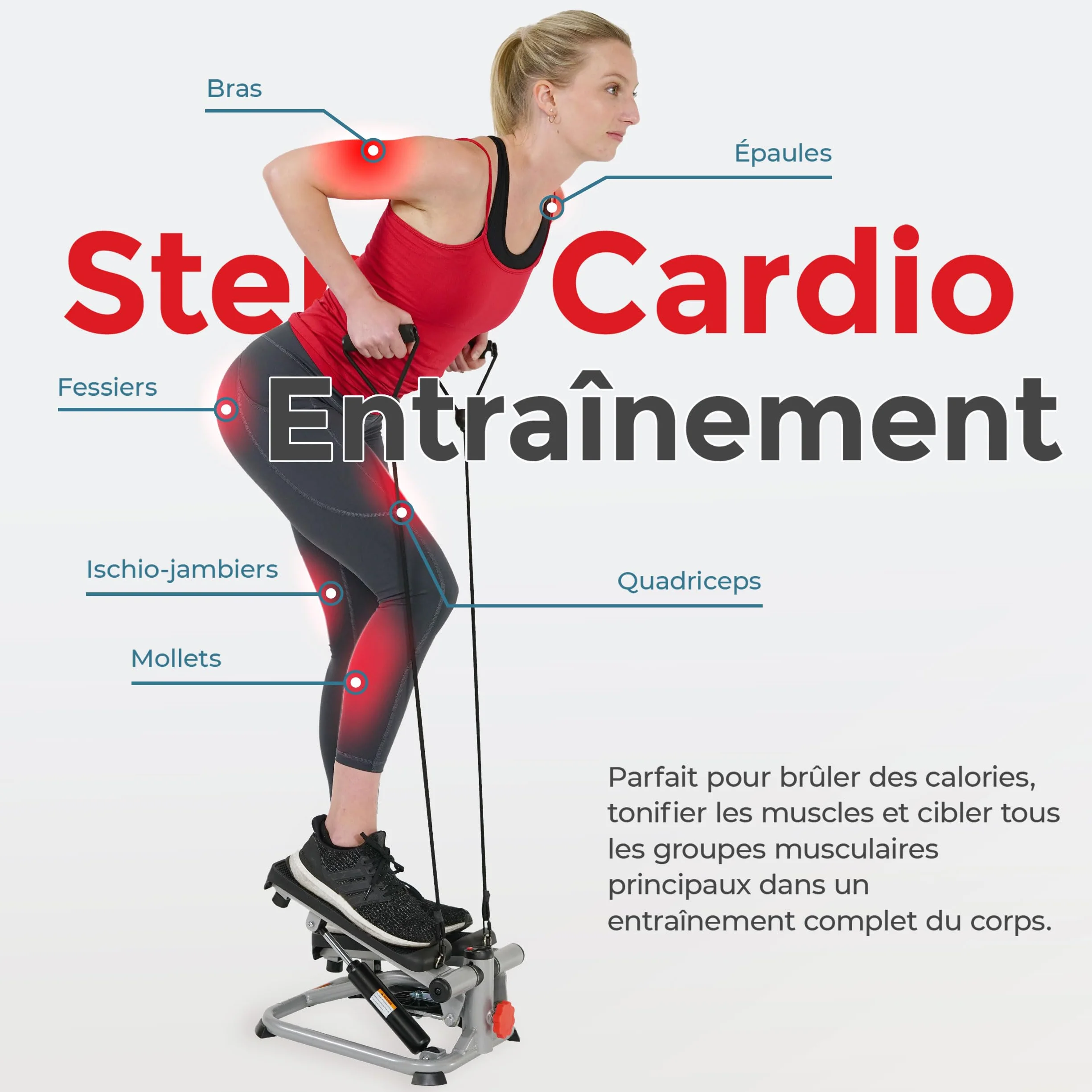 Sunny Health & Fitness Mini Stepper Machine de Step avec Mouvement de Rotation et Bandes de Résistance