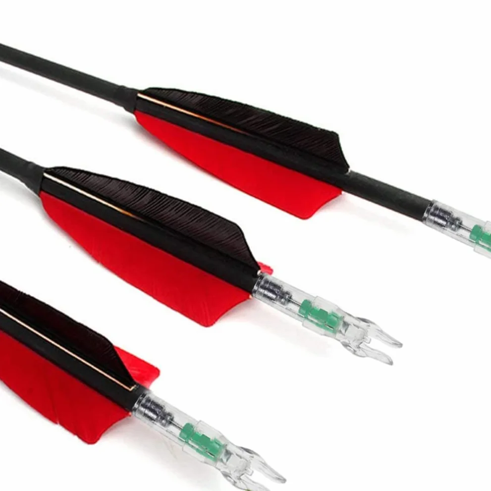 Encoches Lumineuses LED pour Flèches Lot de 12 Plastique Archerie