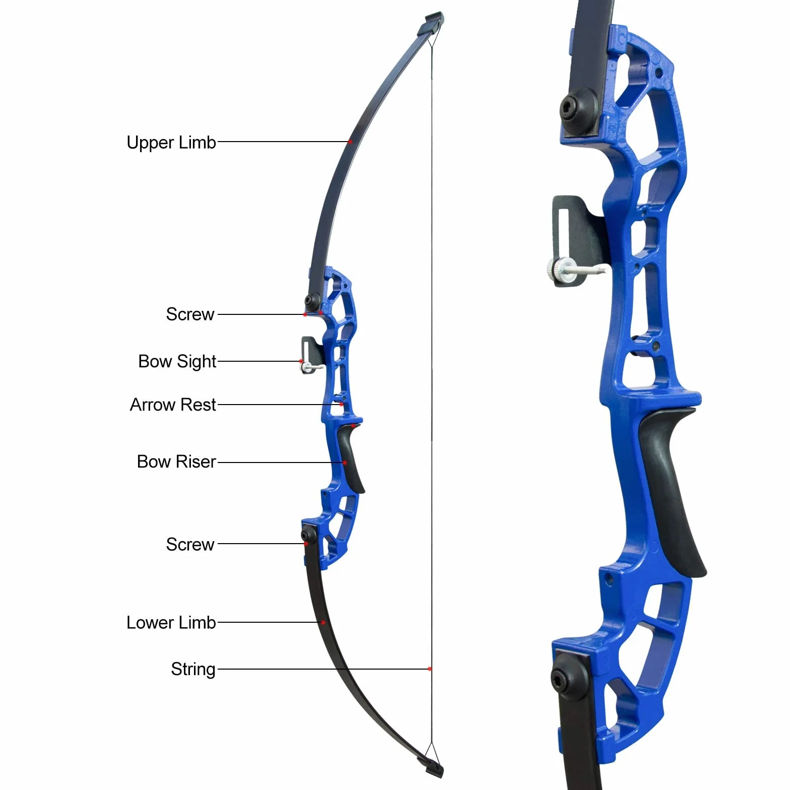 Arc de Chasse Adulte 50 Pouces 30lbs 40lbs Riser en Métal avec 6 Flèches en Carbone Bleu