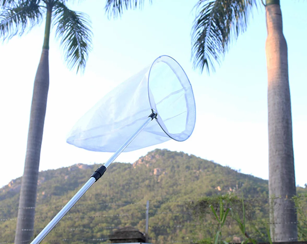 Filet télescopique pour insectes et papillons, capture d'insectes, anneau 28 cm, manche extensible 93 cm