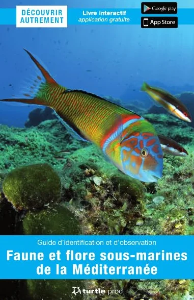 Faune et flore sous-marines de la Méditerranée: Guide d'identification et d'observation