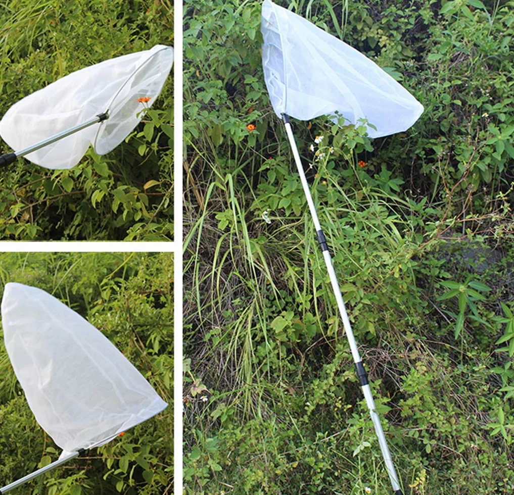 Filet télescopique pour insectes et papillons, capture d'insectes, anneau 28 cm, manche extensible 93 cm