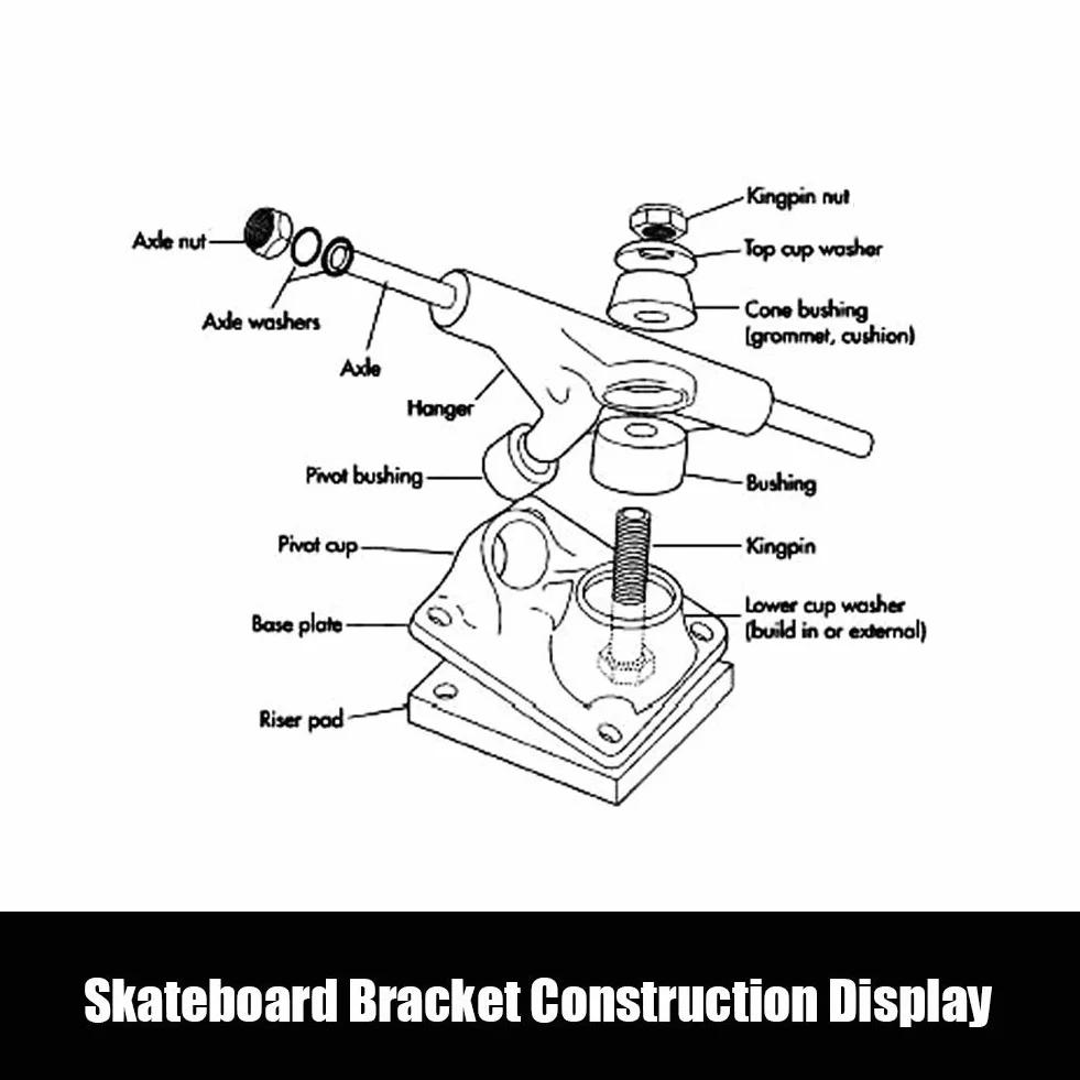 Alomejor Trucks de Skateboard en Alliage Alu-Magnésium 2 pcs – Réglables pour Planche à roulettes, Longboard