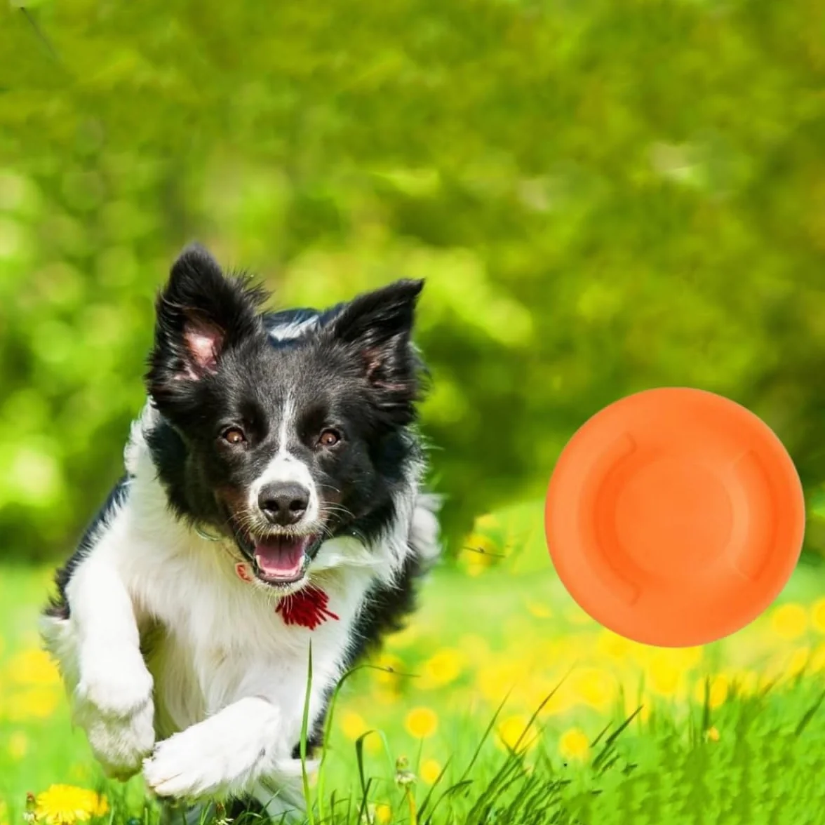 Mini Frisbee en Silicone, 8 pièces, Disque Volant Sport Tendance