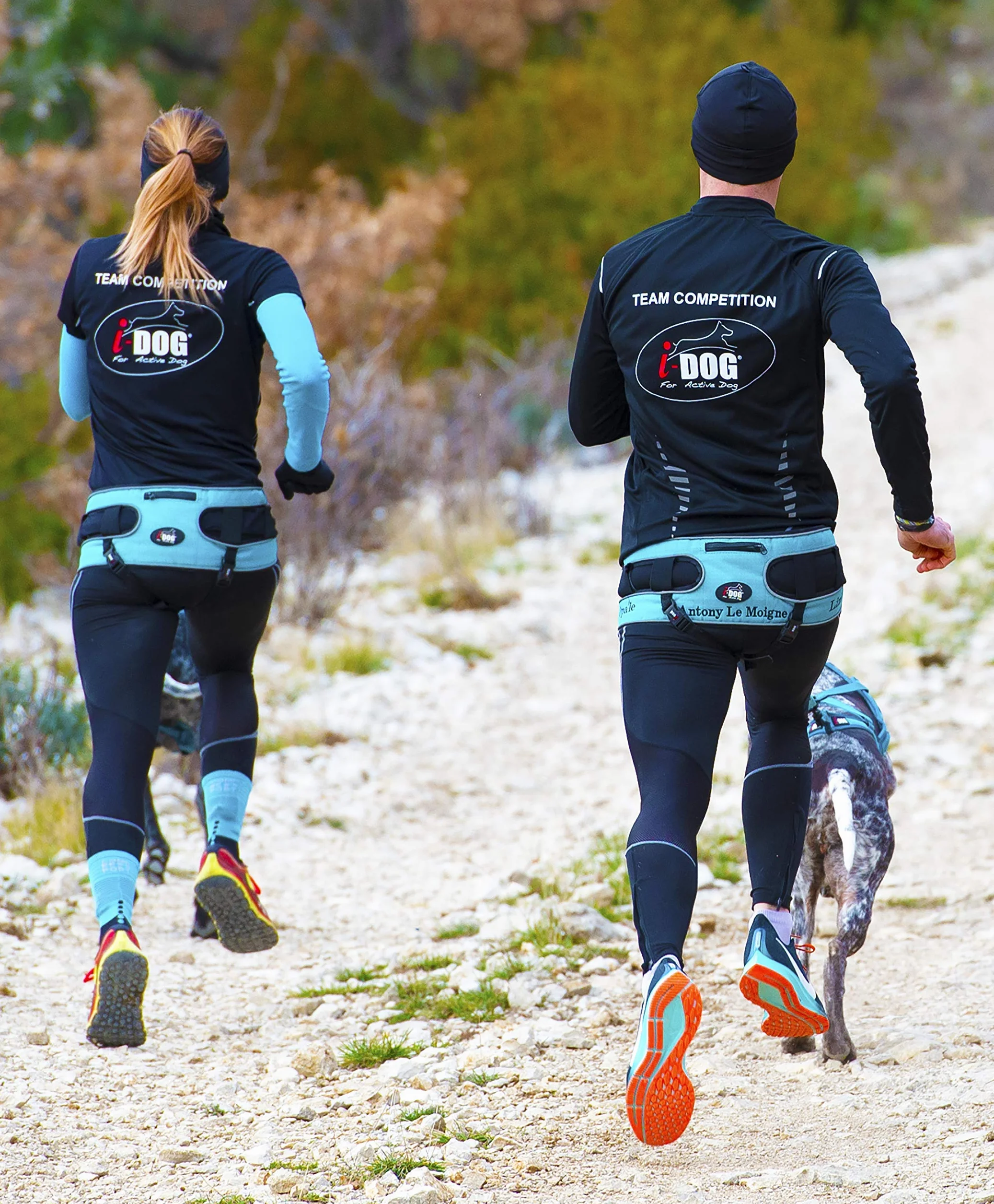 Baudrier Canyon Gamme ALM Bleu cani Cross Rando Jogging Trail I-dog