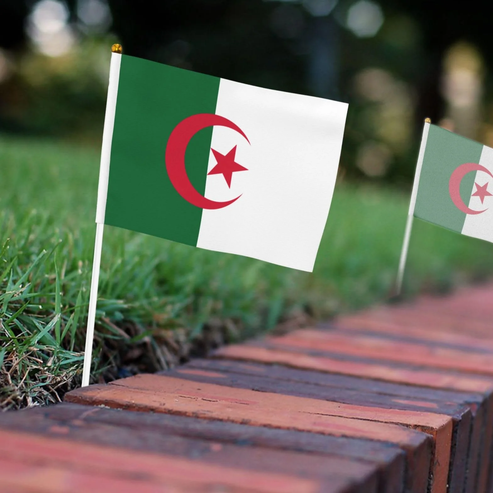 Lot de 10 mini drapeaux de l'Algérie à main sur bâton pour fête et défilés