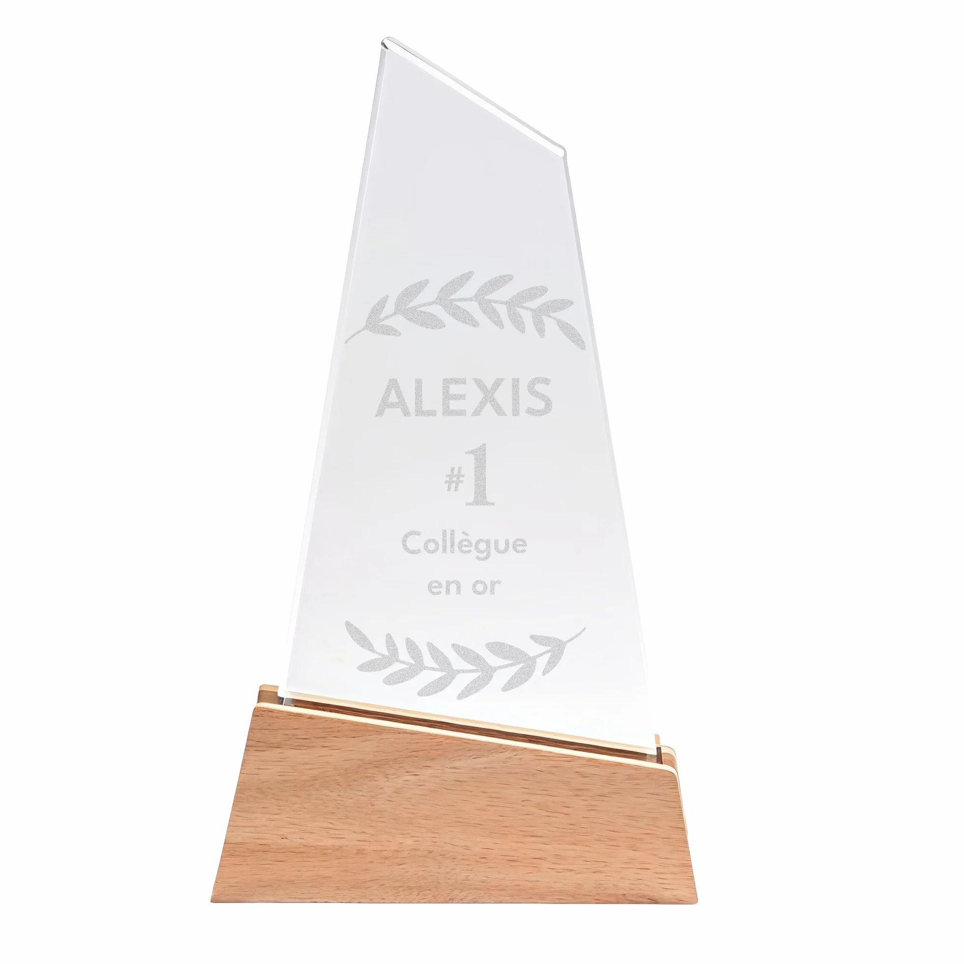 Trophée Personnalisable Base en Bois avec Verre Gravé - Coffret Cadeau