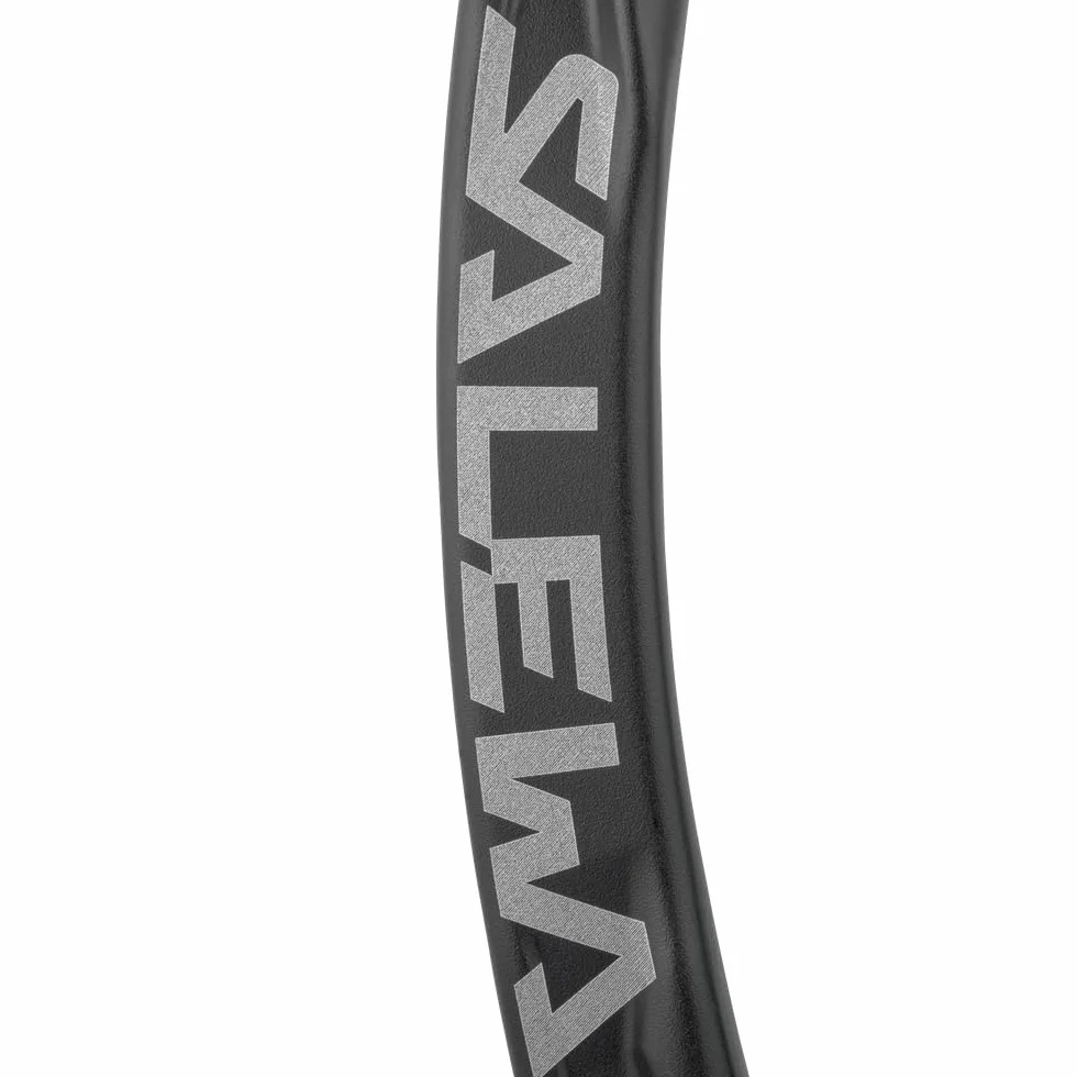 Salewa Ortles Carabiner
