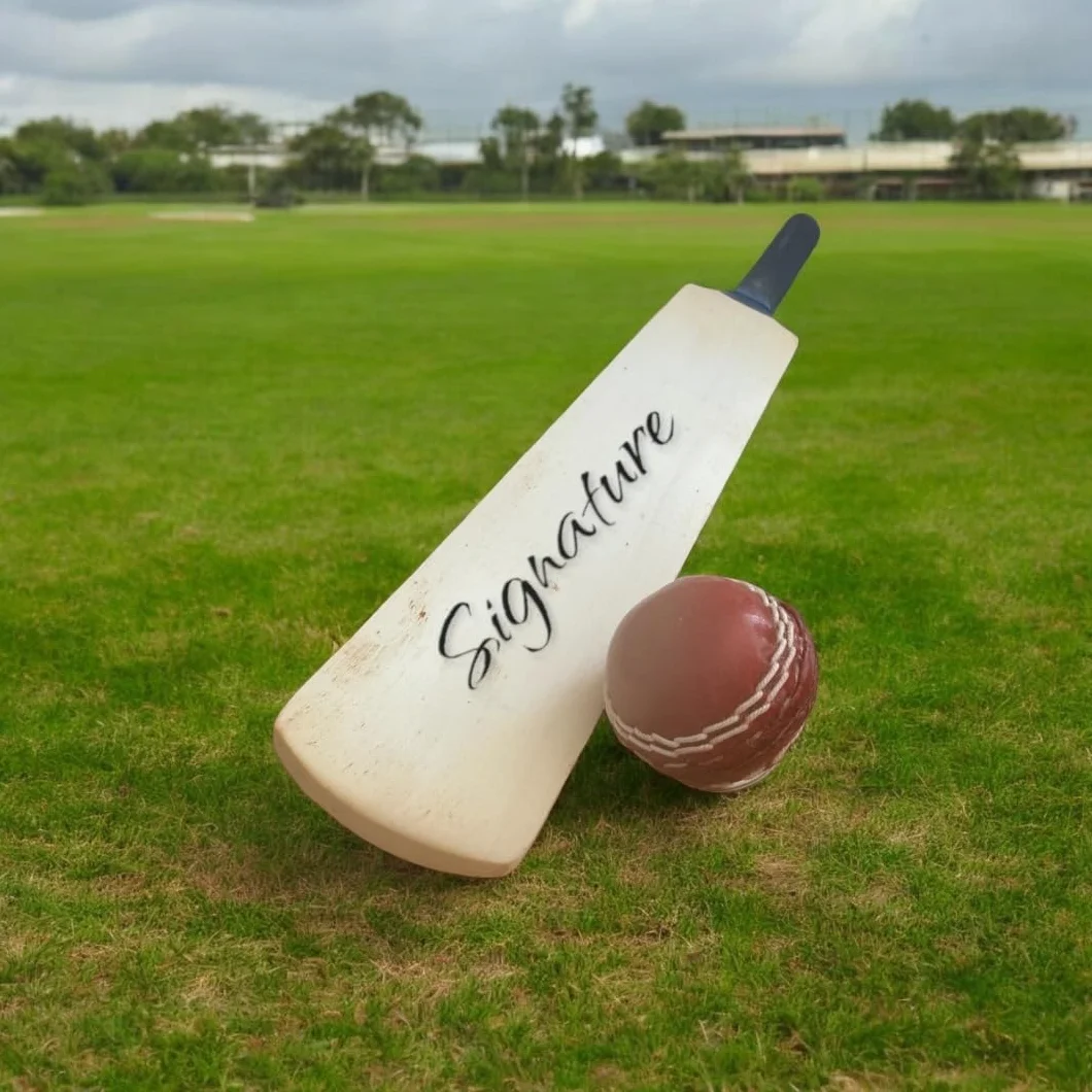 Mini batte de cricket vierge 40 cm pour signatures joueurs collection amateurs bois de saule