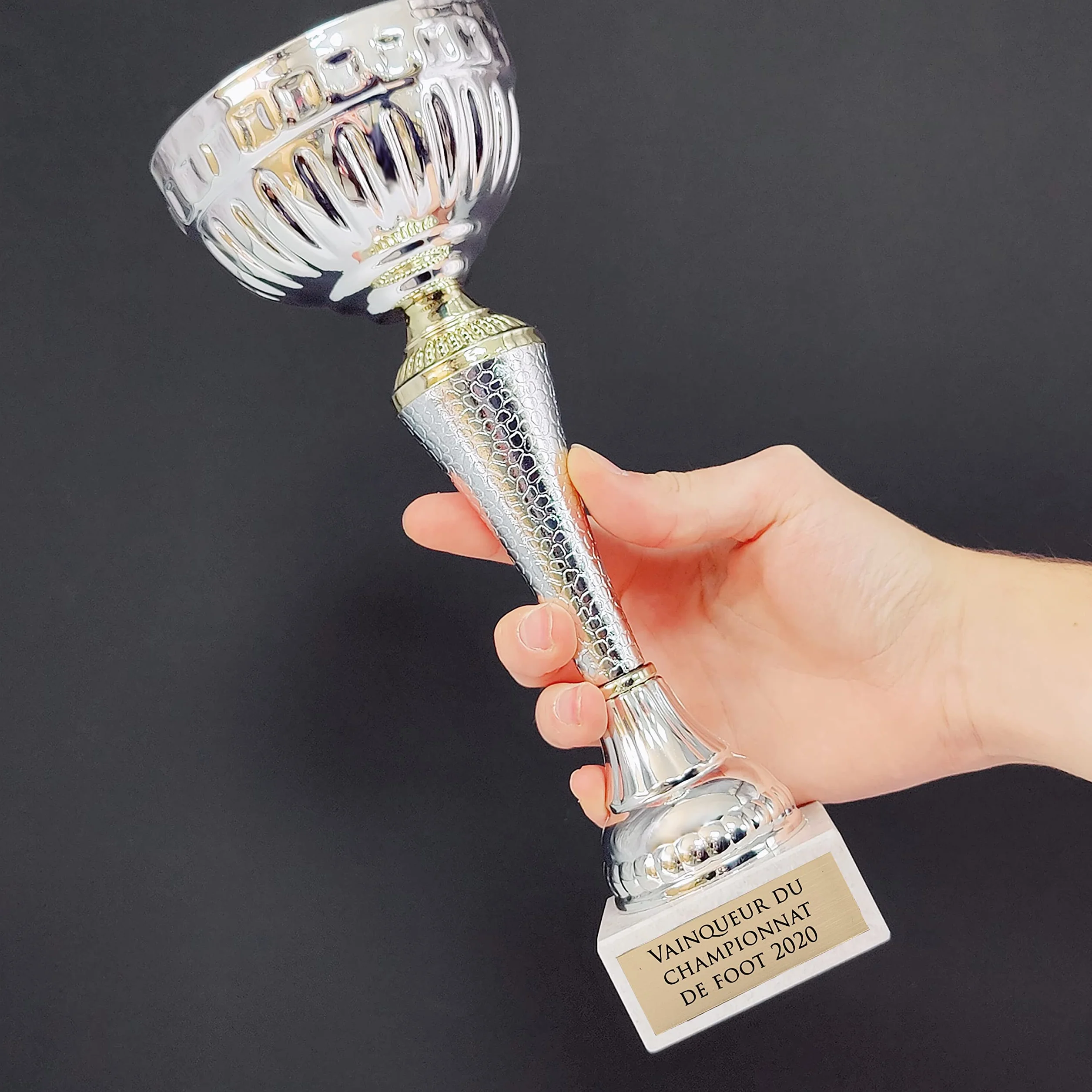 Trophée Personnalisable avec Gravure - Coupe Argentée et Dorée - Cadeau Fête des Pères, Noël, Retraite
