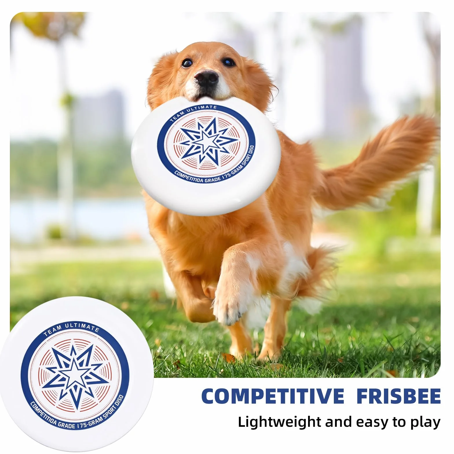 Disque volant professionnel Frisbee de compétition pour sports de plein air