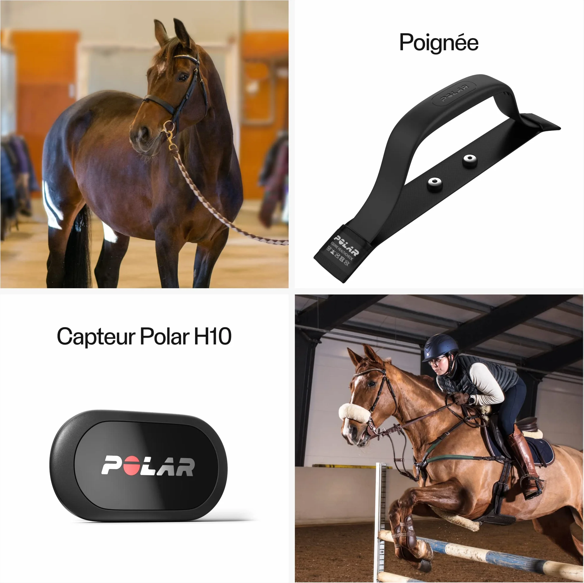 Polar Cardiofréquencemètre pour Cheval, Noir, Taille Unique EU