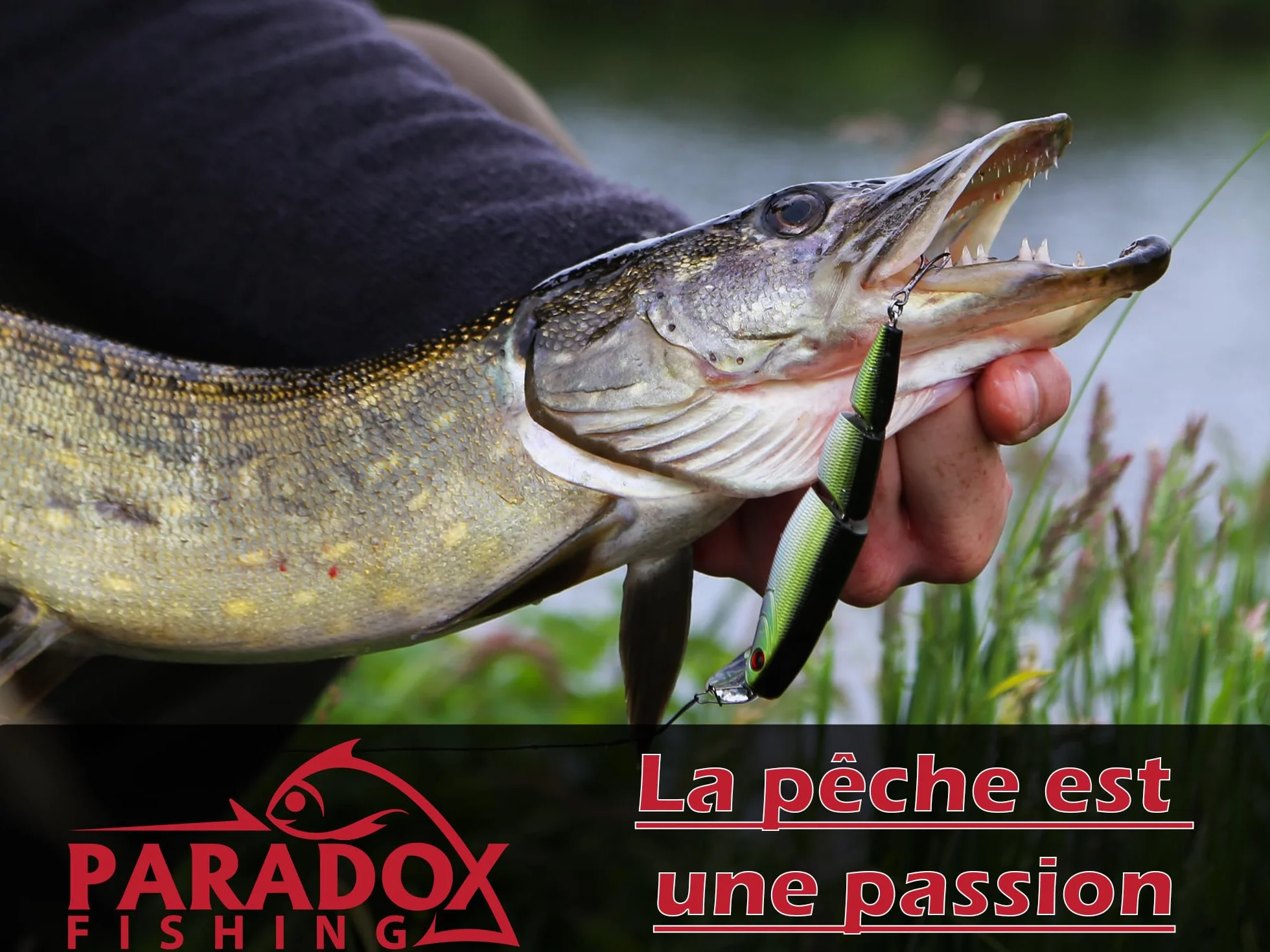 Paradox Fishing PX Tresse Peche 8 brins 0,07mm-0,28mm 150m/500m étroitement tressés