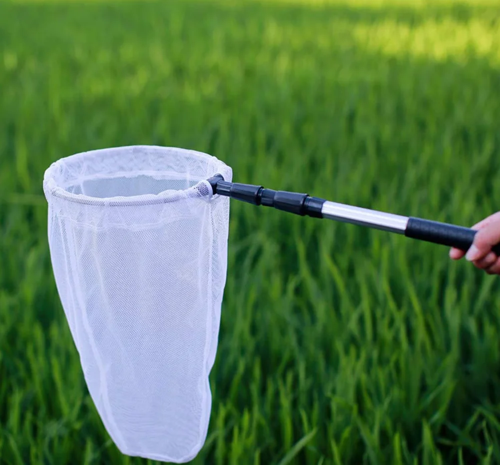 Filet télescopique pour insectes et papillons, capture d'insectes, anneau 28 cm, manche extensible 93 cm