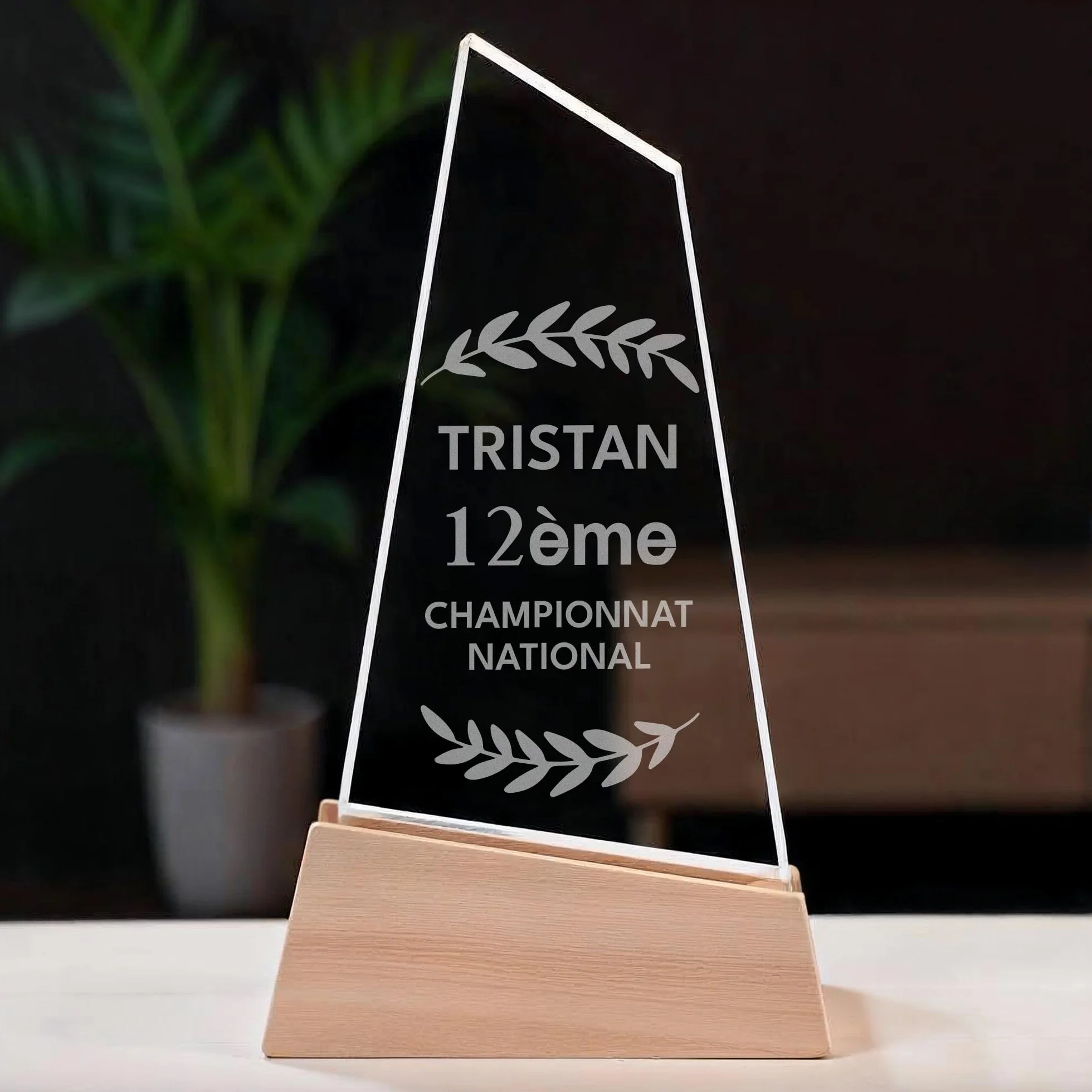 Trophée Personnalisable Base en Bois avec Verre Gravé - Coffret Cadeau