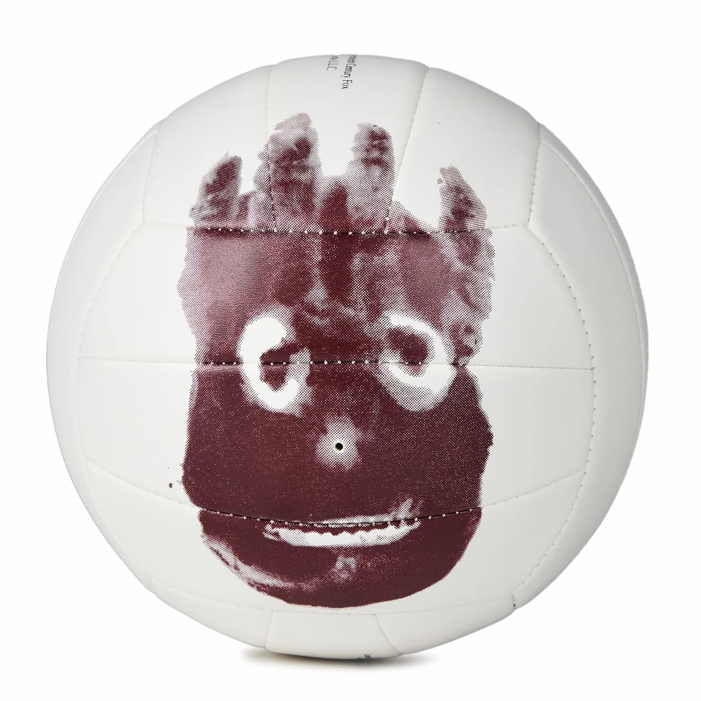 Wilson Castaway Volley-ball